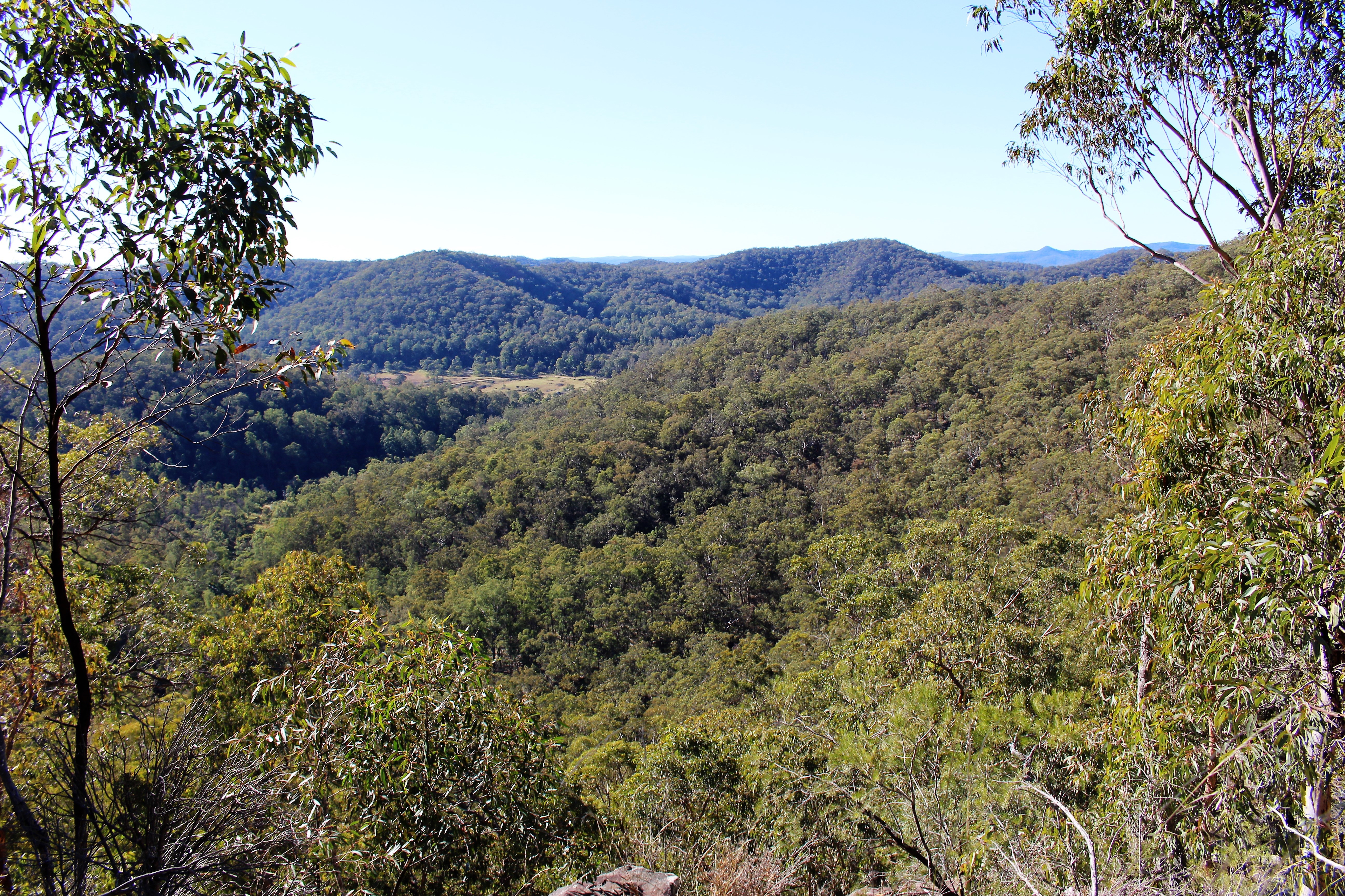 Musgrove Realty ‘Beautiful Bushland Retreat with Magnificent Views’