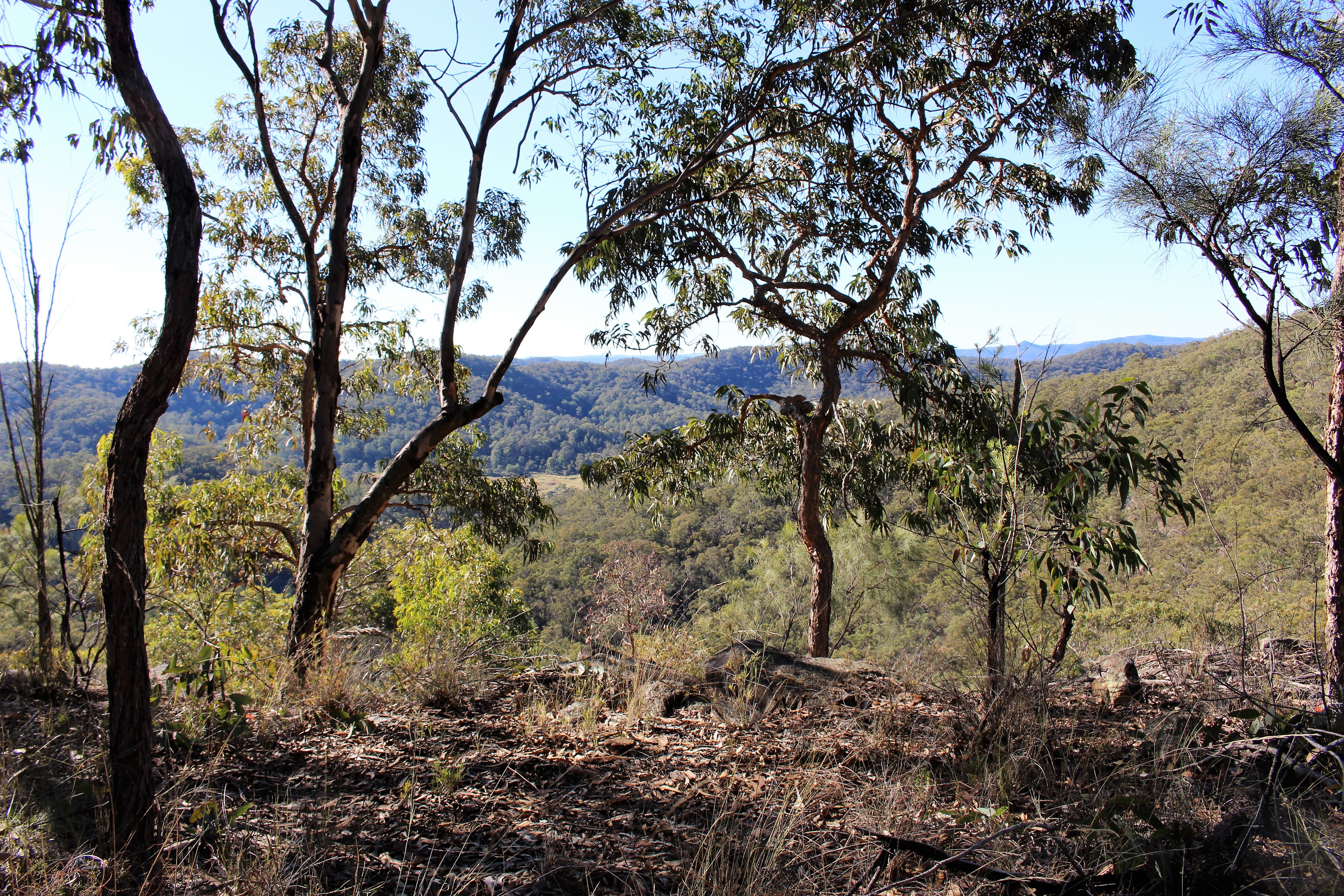 Musgrove Realty ‘Beautiful Bushland Retreat with Magnificent Views’
