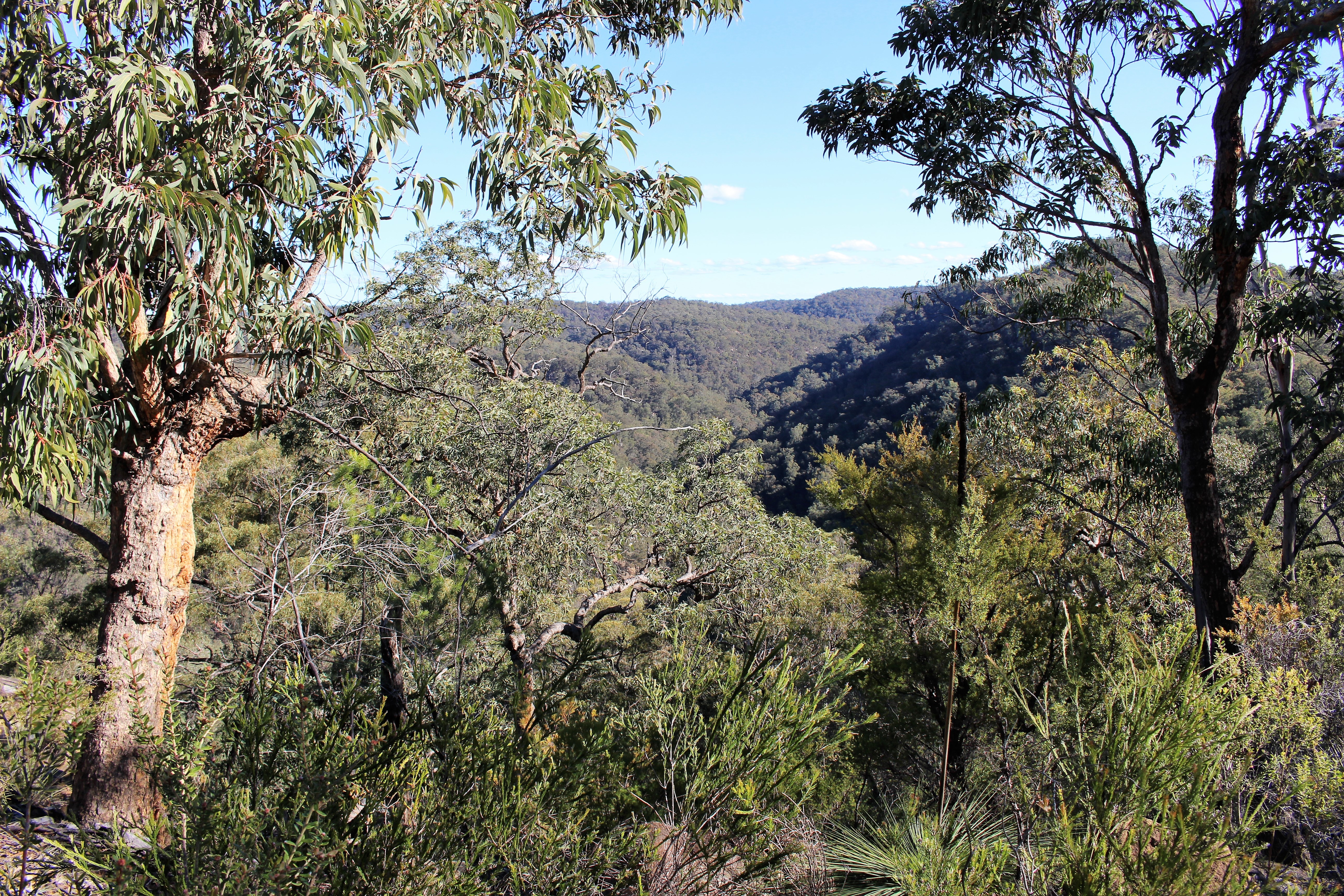 Musgrove Realty ‘Beautiful Bushland Retreat with Magnificent Views’