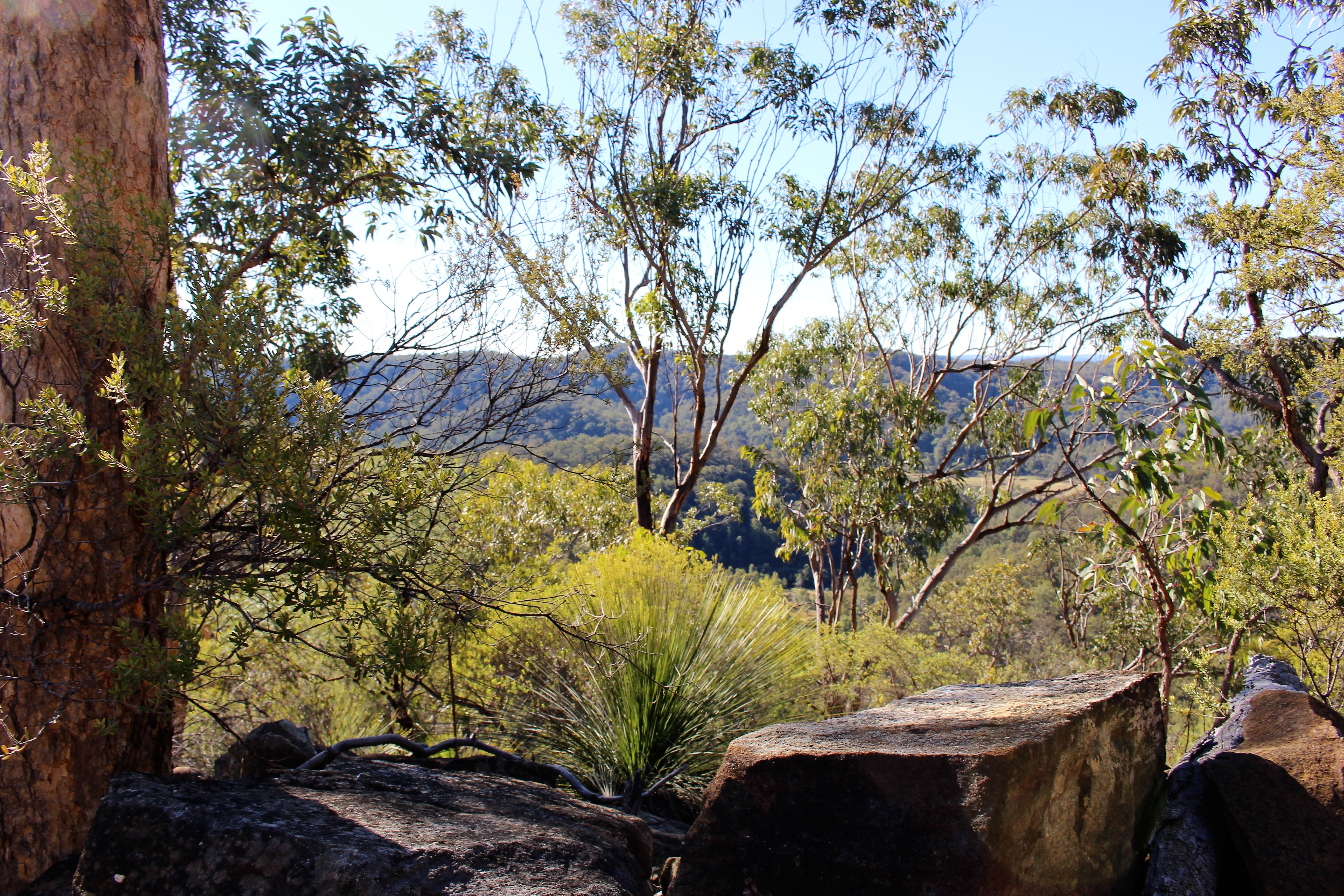 Musgrove Realty ‘Beautiful Bushland Retreat with Magnificent Views’