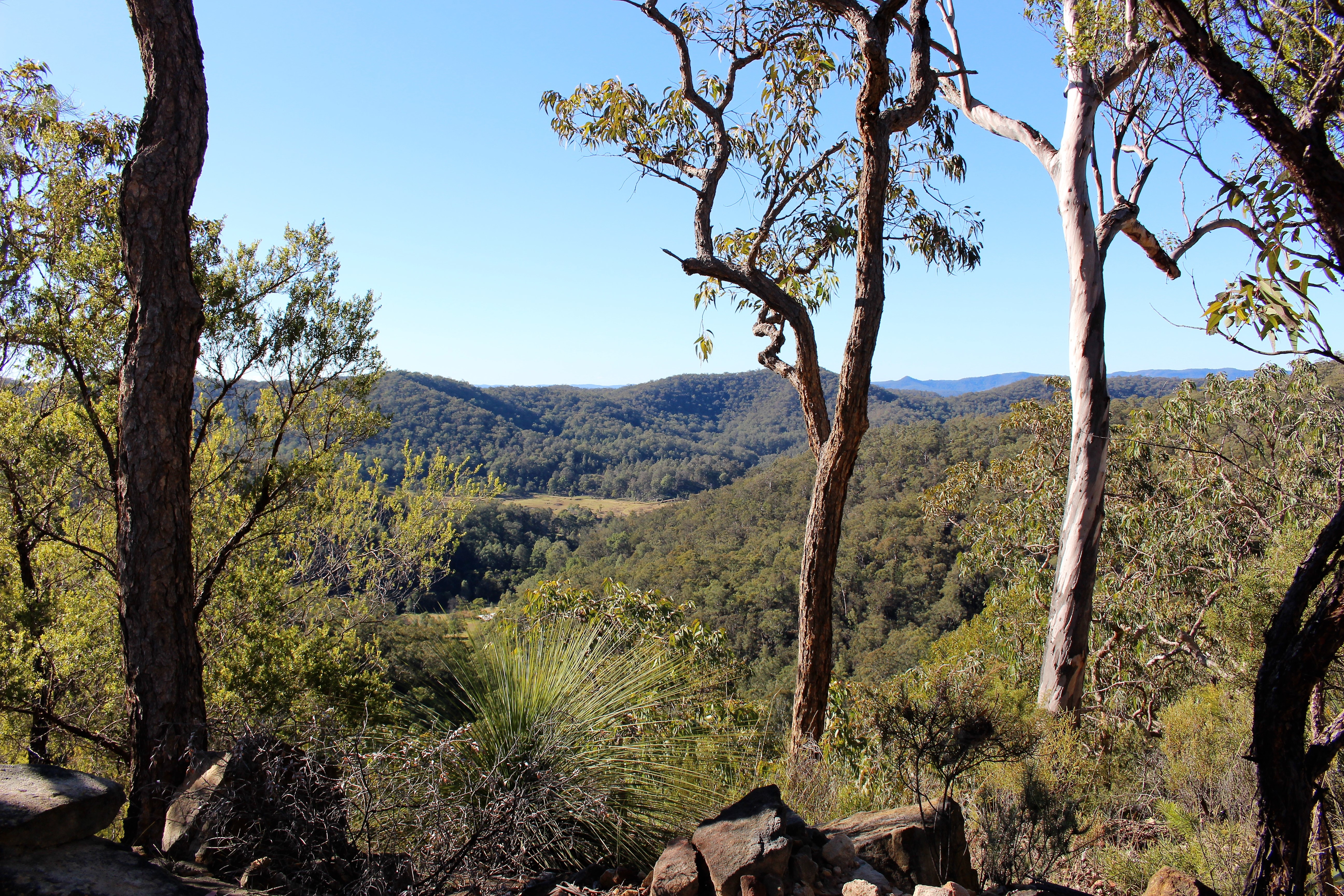 Musgrove Realty ‘Beautiful Bushland Retreat with Magnificent Views’