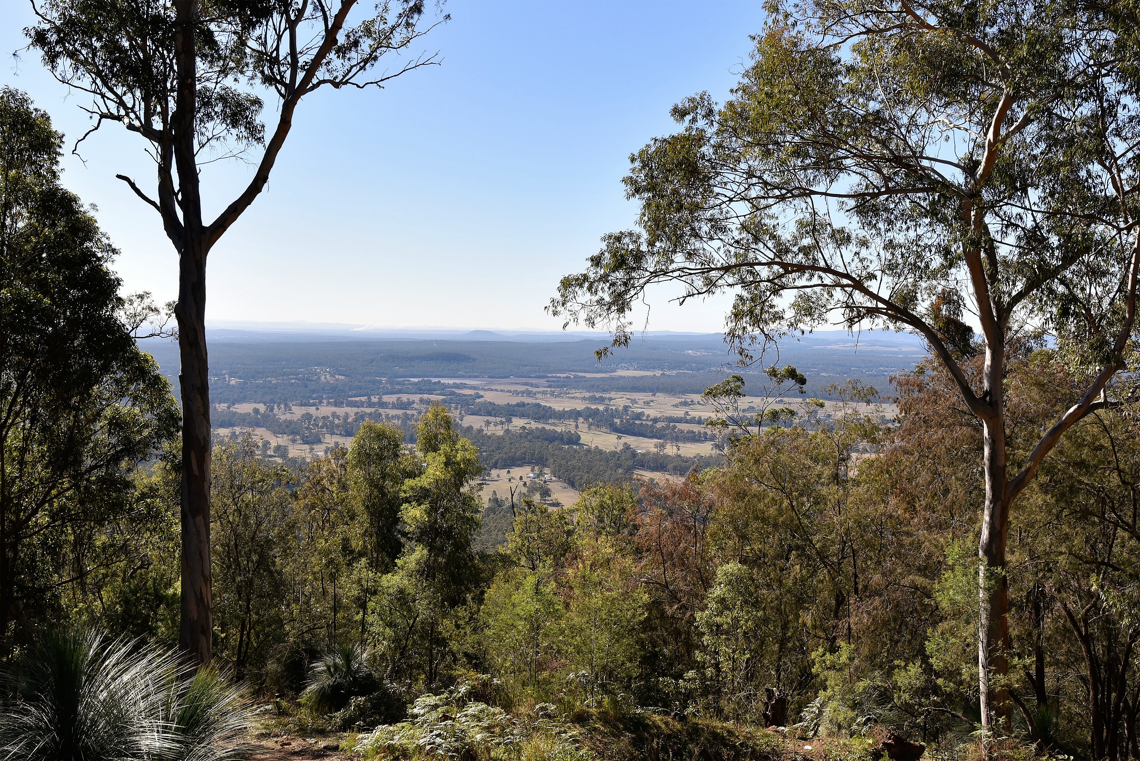 Musgrove Realty ‘Eagles Rest’ Sensational Native Bush Land With