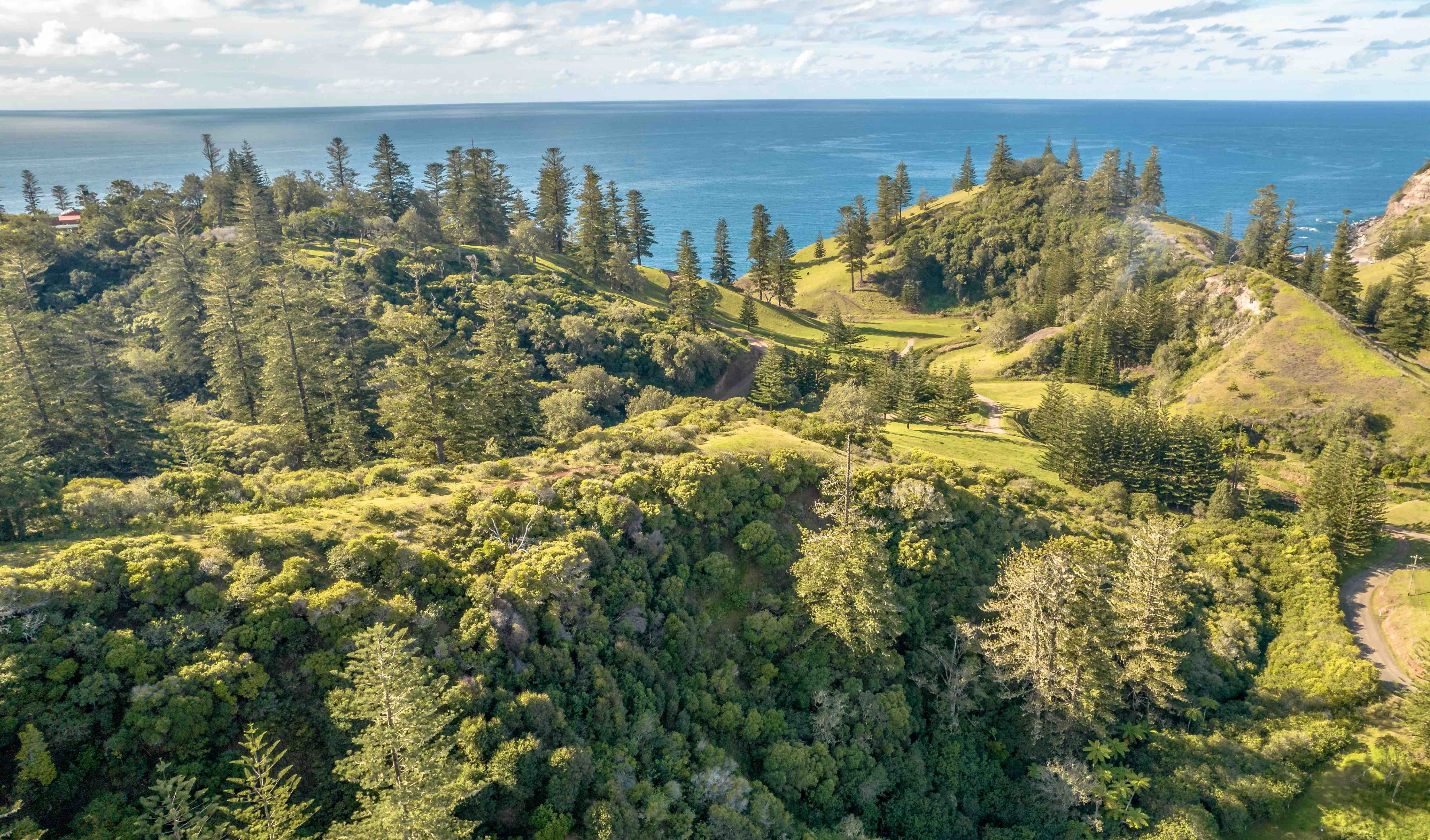 Norfolk Island Real Estate Stunning Land with Views Across Cascade