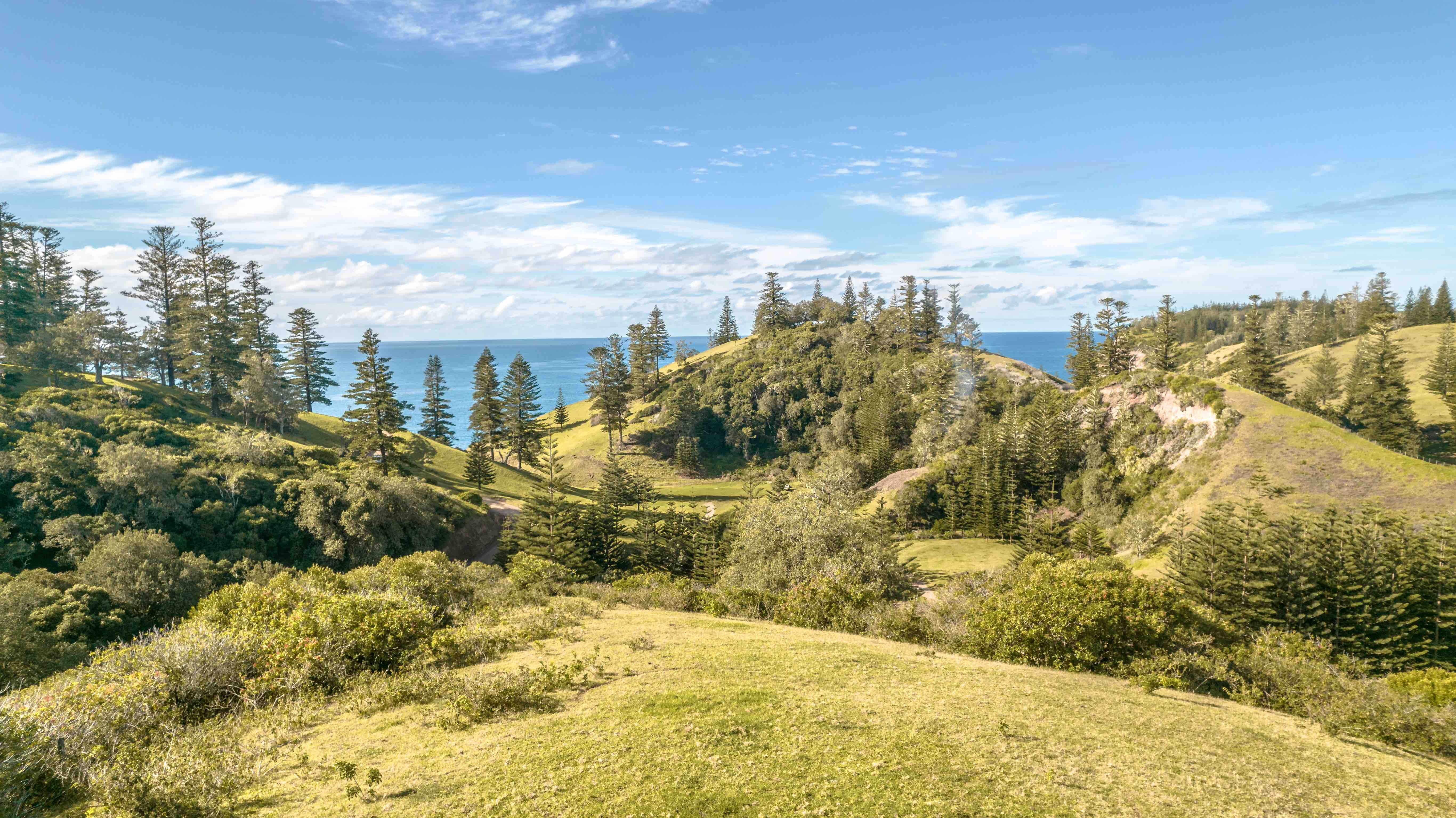 Norfolk Island Real Estate Stunning Land with Views Across Cascade