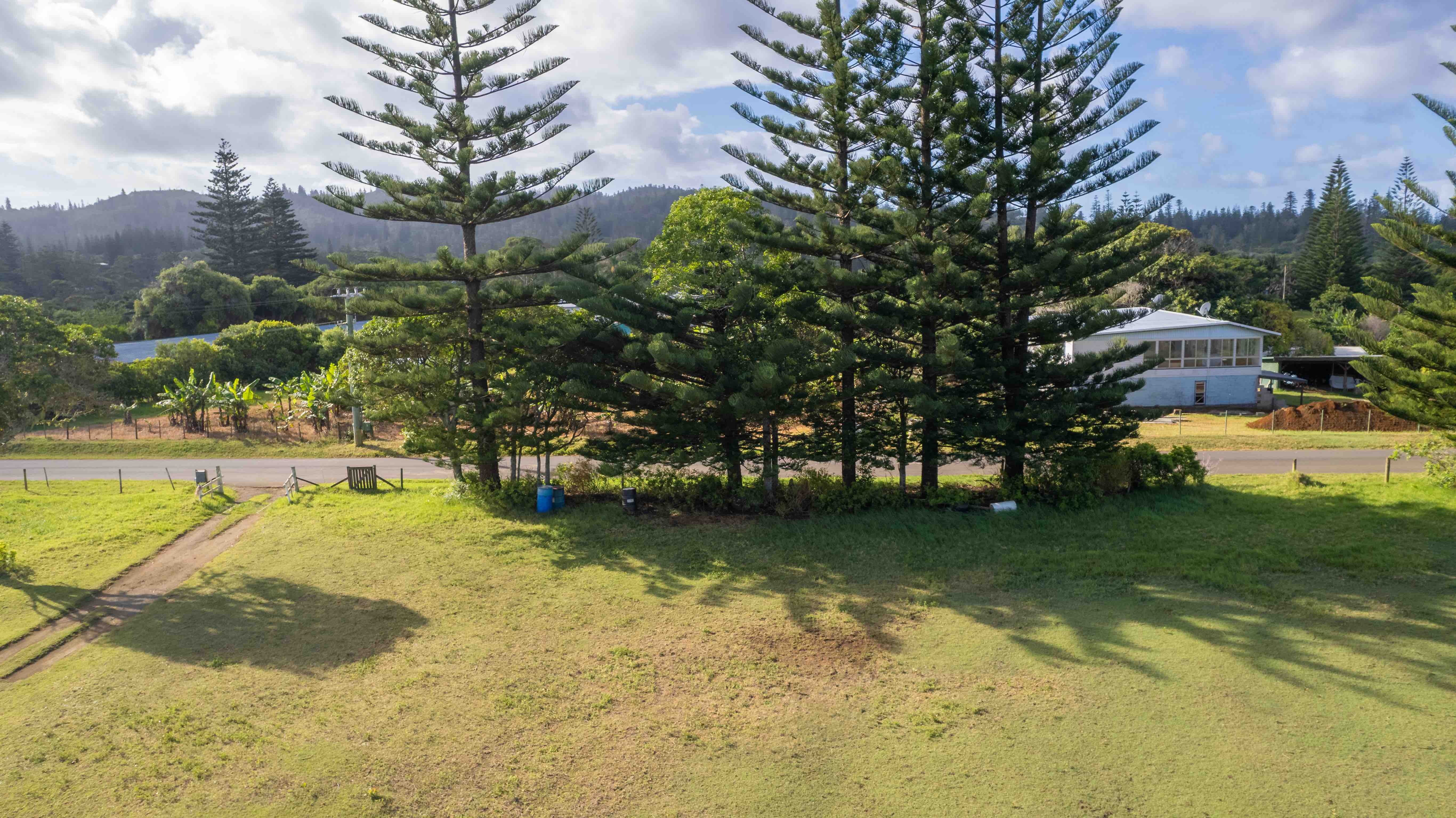 Norfolk Island Real Estate The Perfect Balance of Simplicity and