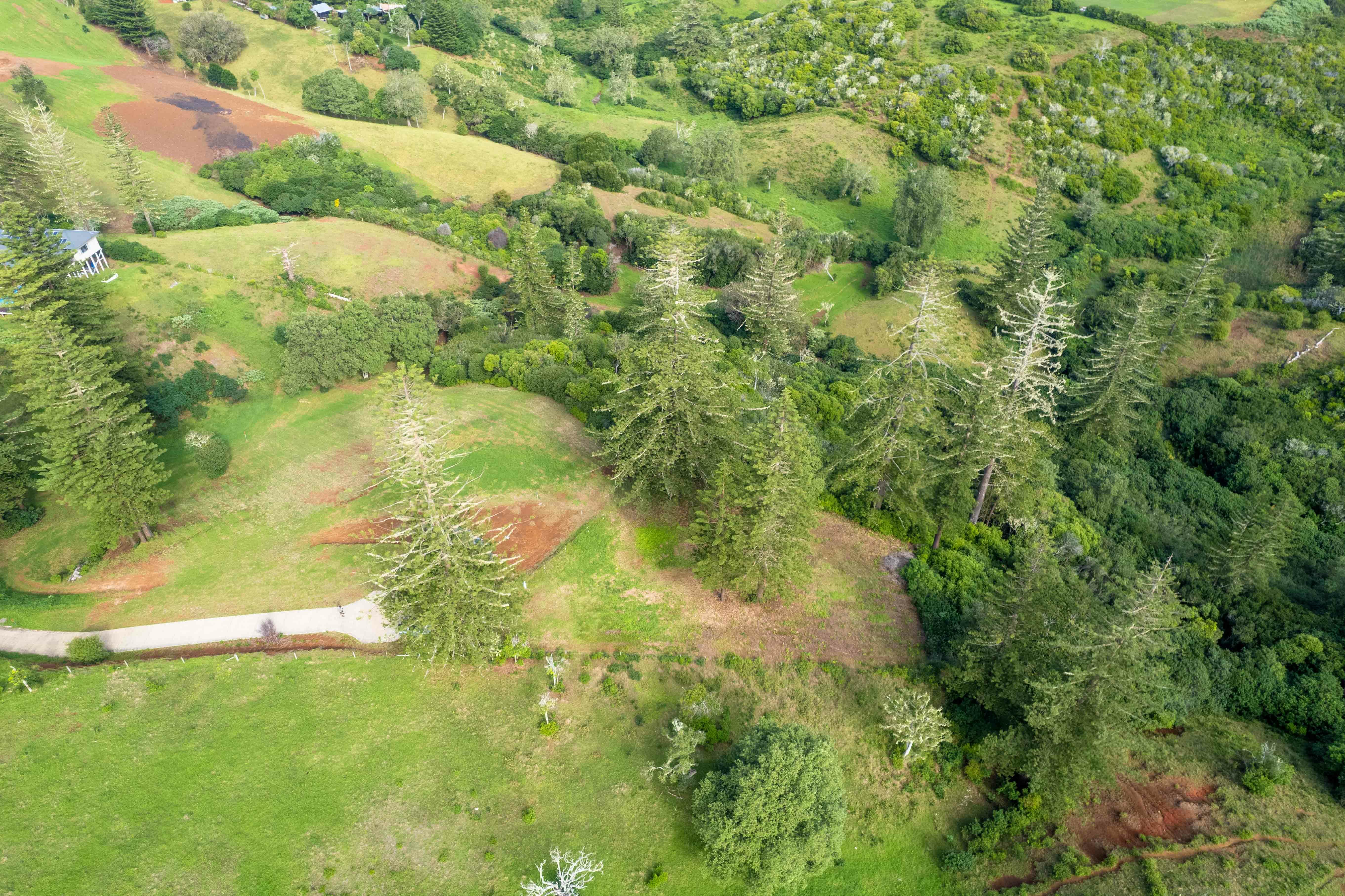 Norfolk Island Real Estate Tidy Portion with Perfect Building Site