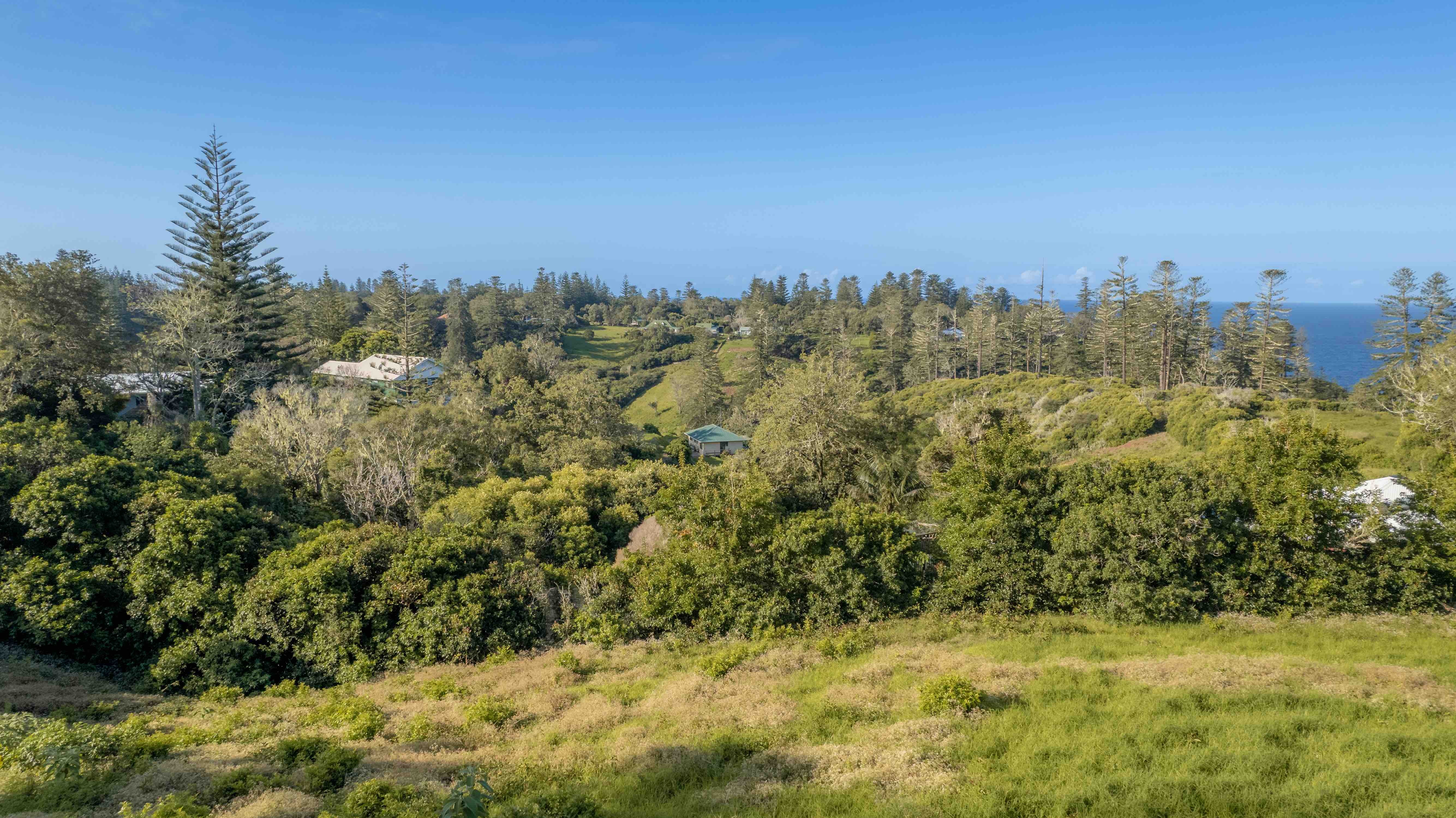 Norfolk Island Real Estate Uninterrupted Ocean and Valley Views