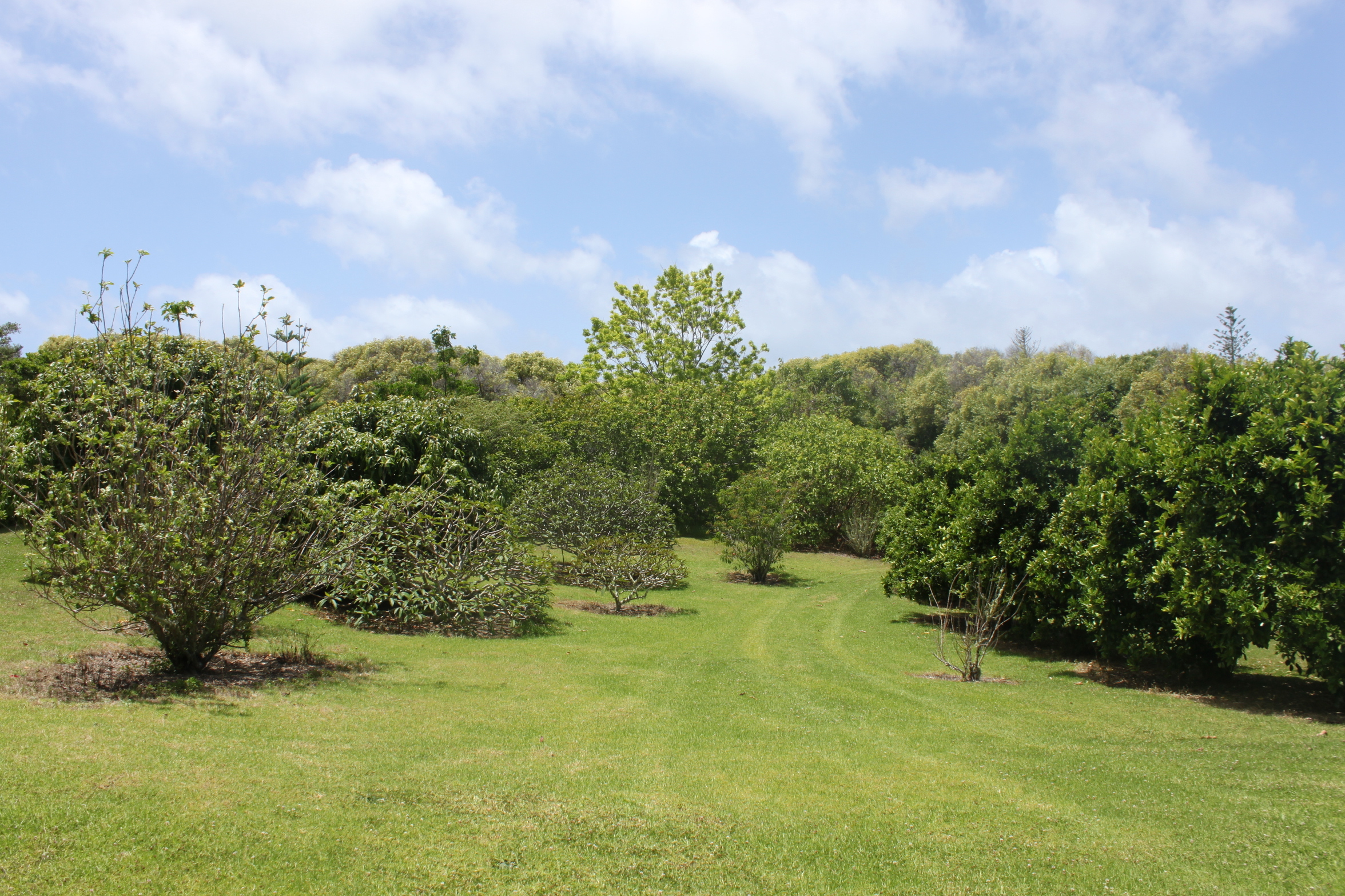 Norfolk Island Real Estate Cute Cottage on Lovely portion on New Farm