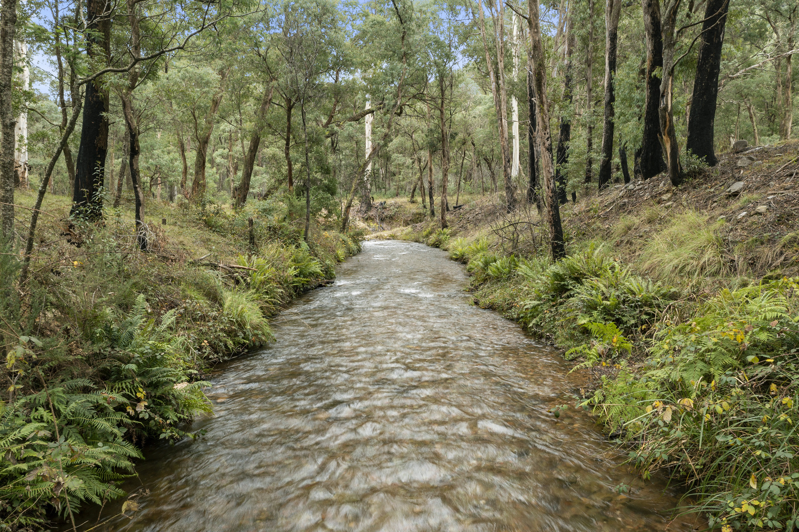 Paull & Scollard Nutrien & Nutrien Ivone Agencies Beveridge’s Station