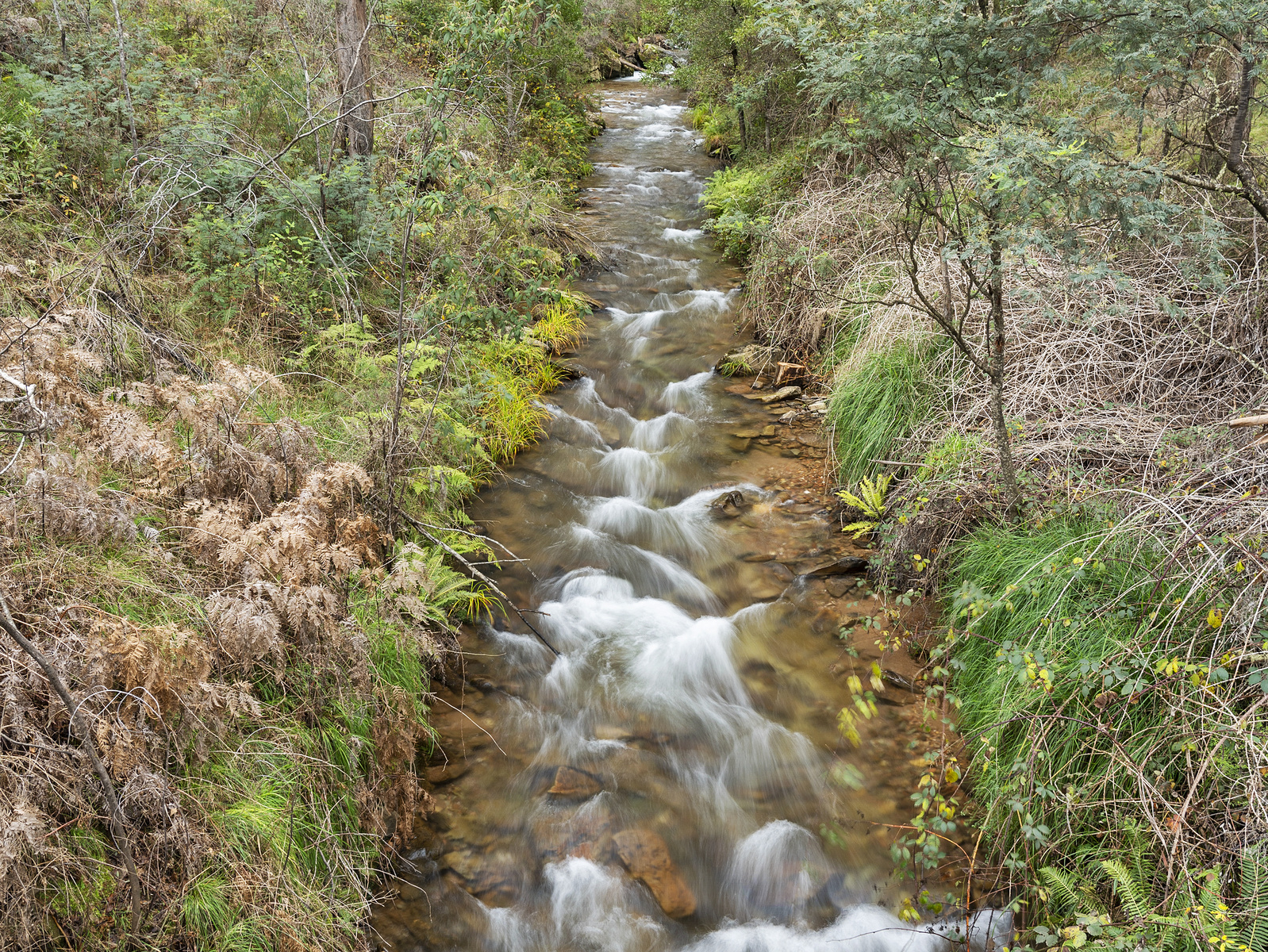 Paull & Scollard Nutrien & Nutrien Ivone Agencies Beveridge’s Station