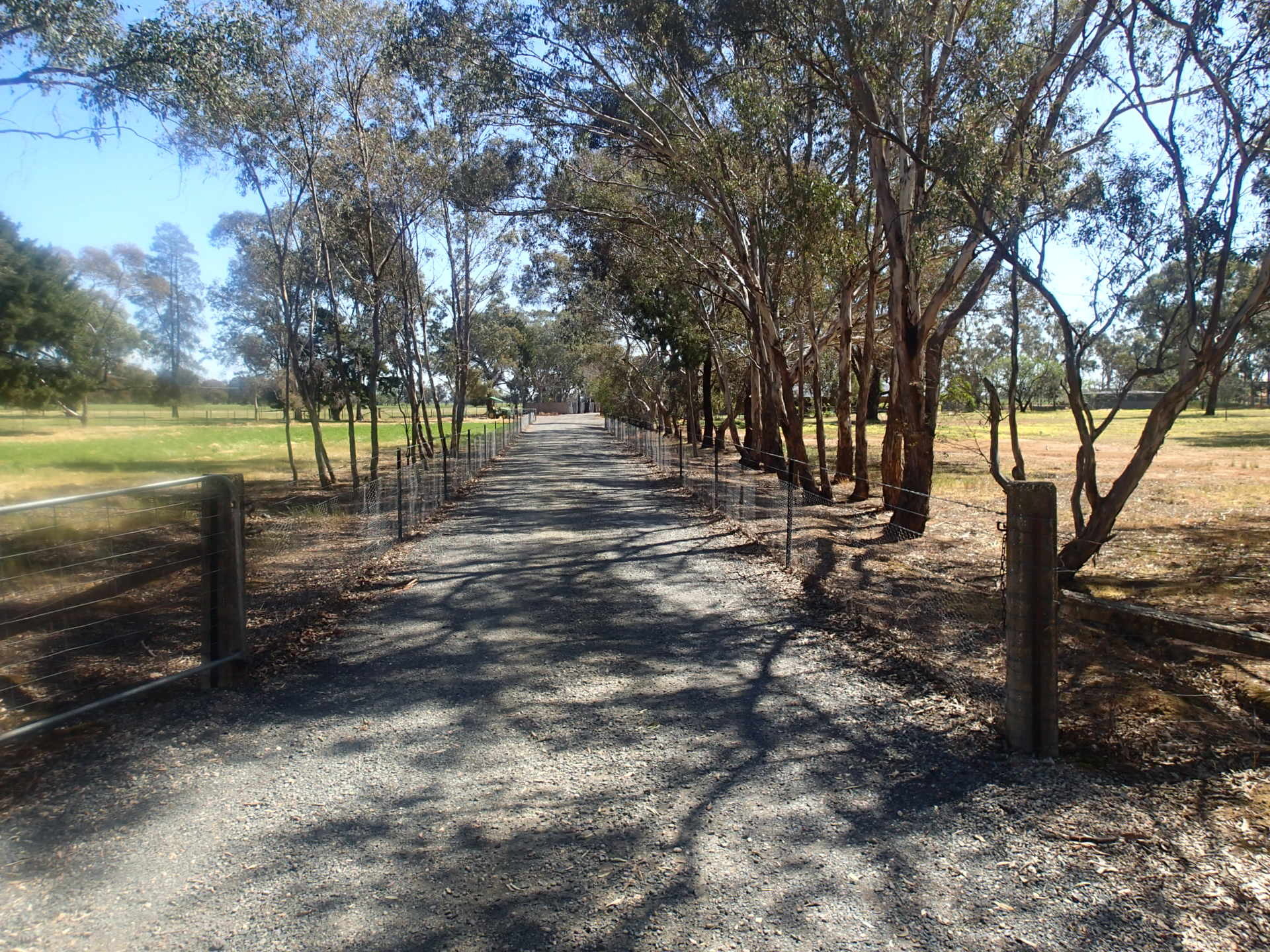 303 Skehans Lane, Corowa NSW 2646