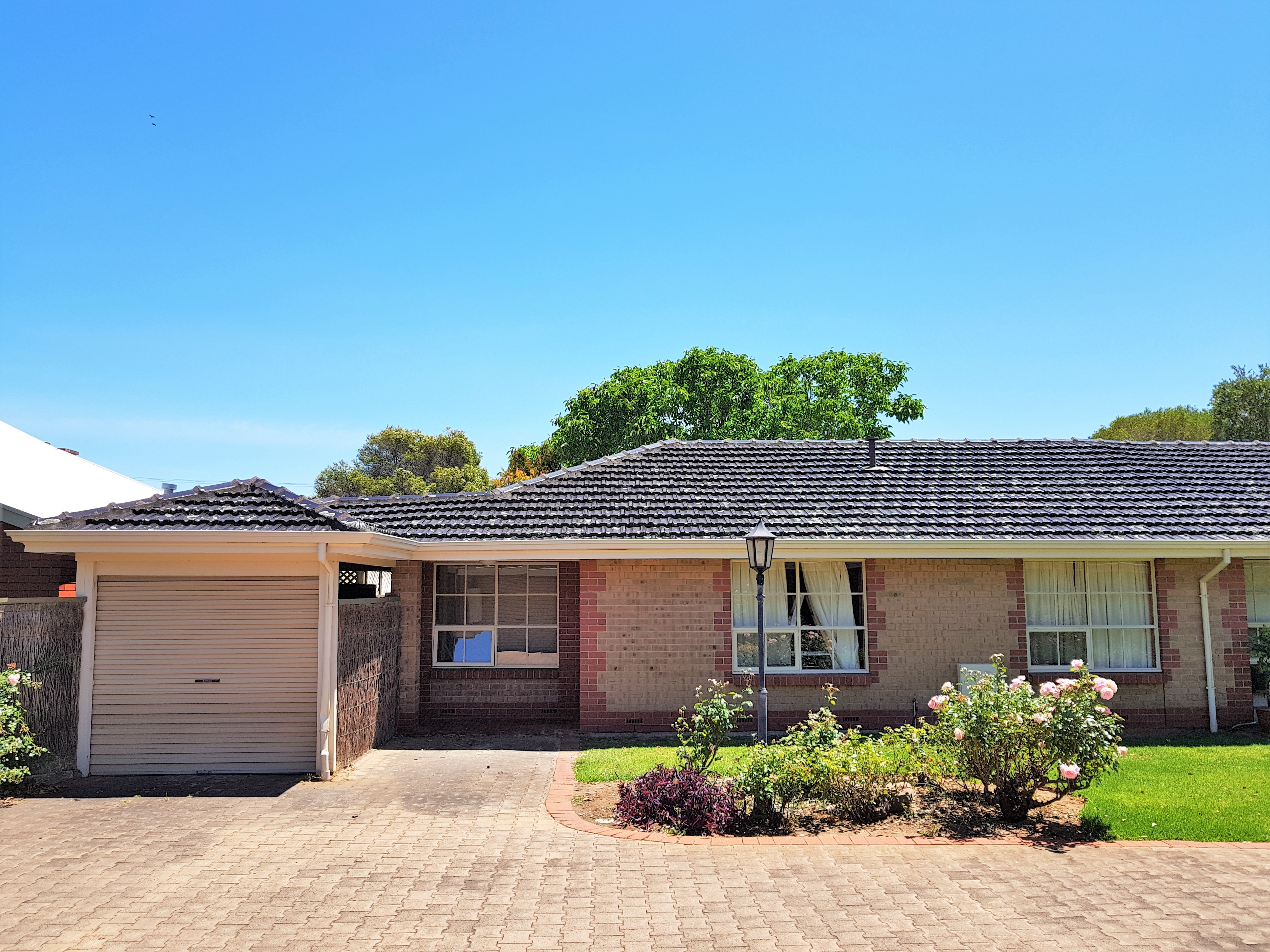 Renting Adelaide Property Management Larger than the Norm!