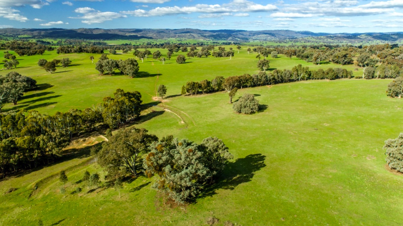 Riverina Livestock Agents Pty Ltd "LONE PINE" 664 ACRES. QUALITY