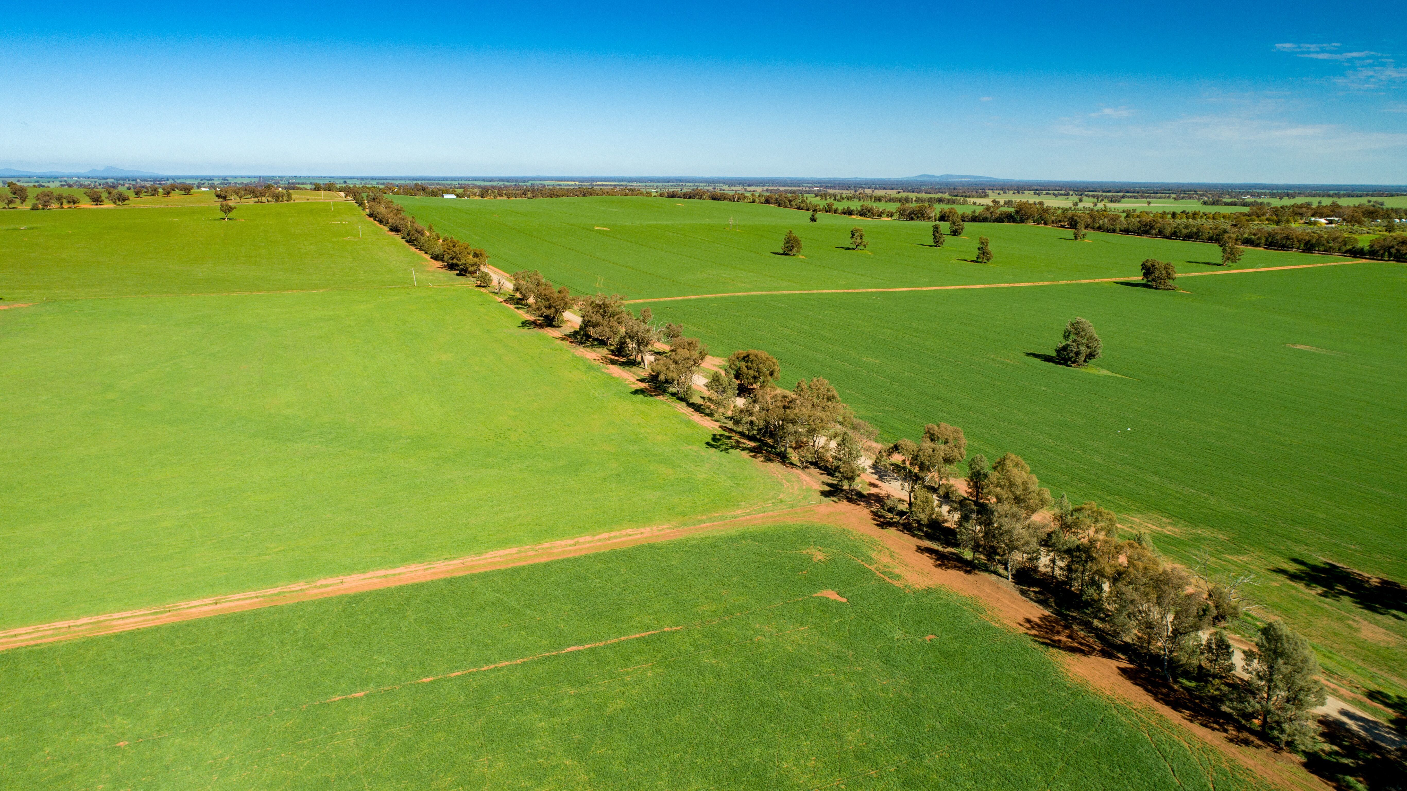 Riverina Livestock Agents Pty Ltd 1014 ACRES. 410 HA . HOMESHEDSYARDS .MIXED FARMING Riverina Livestock Agents Pty Ltd 1014 ACRES. 410 HA . HOMESHEDSYARDS .MIXED FARMING