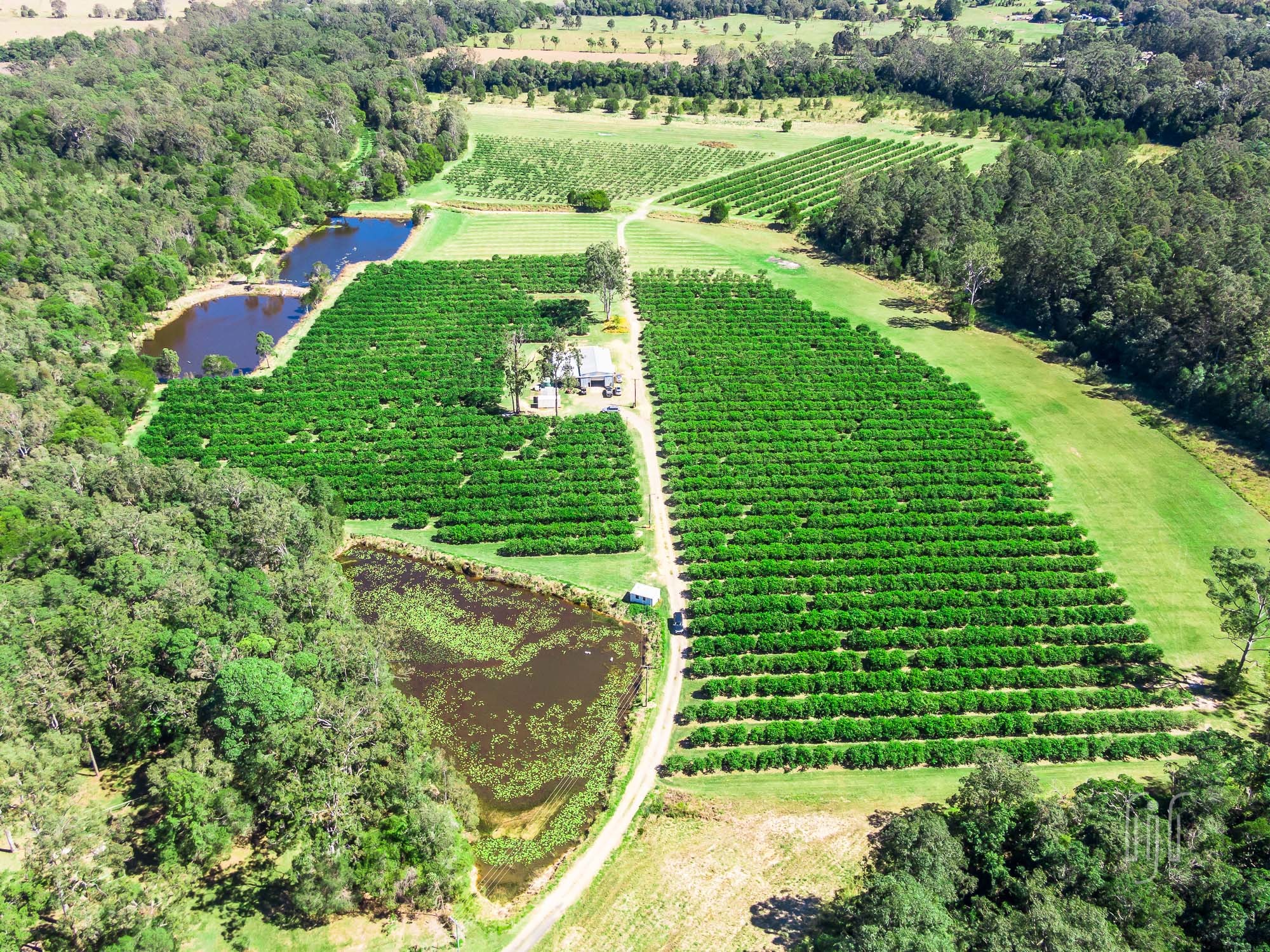 Ron Jeffery Realty POMONA CITRUS ORCHARD!