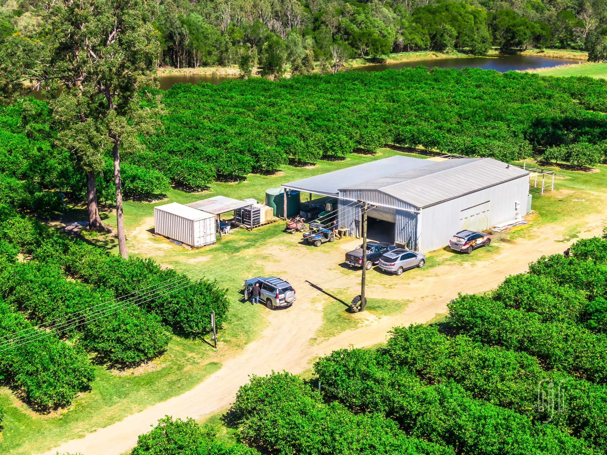 Ron Jeffery Realty POMONA CITRUS ORCHARD!