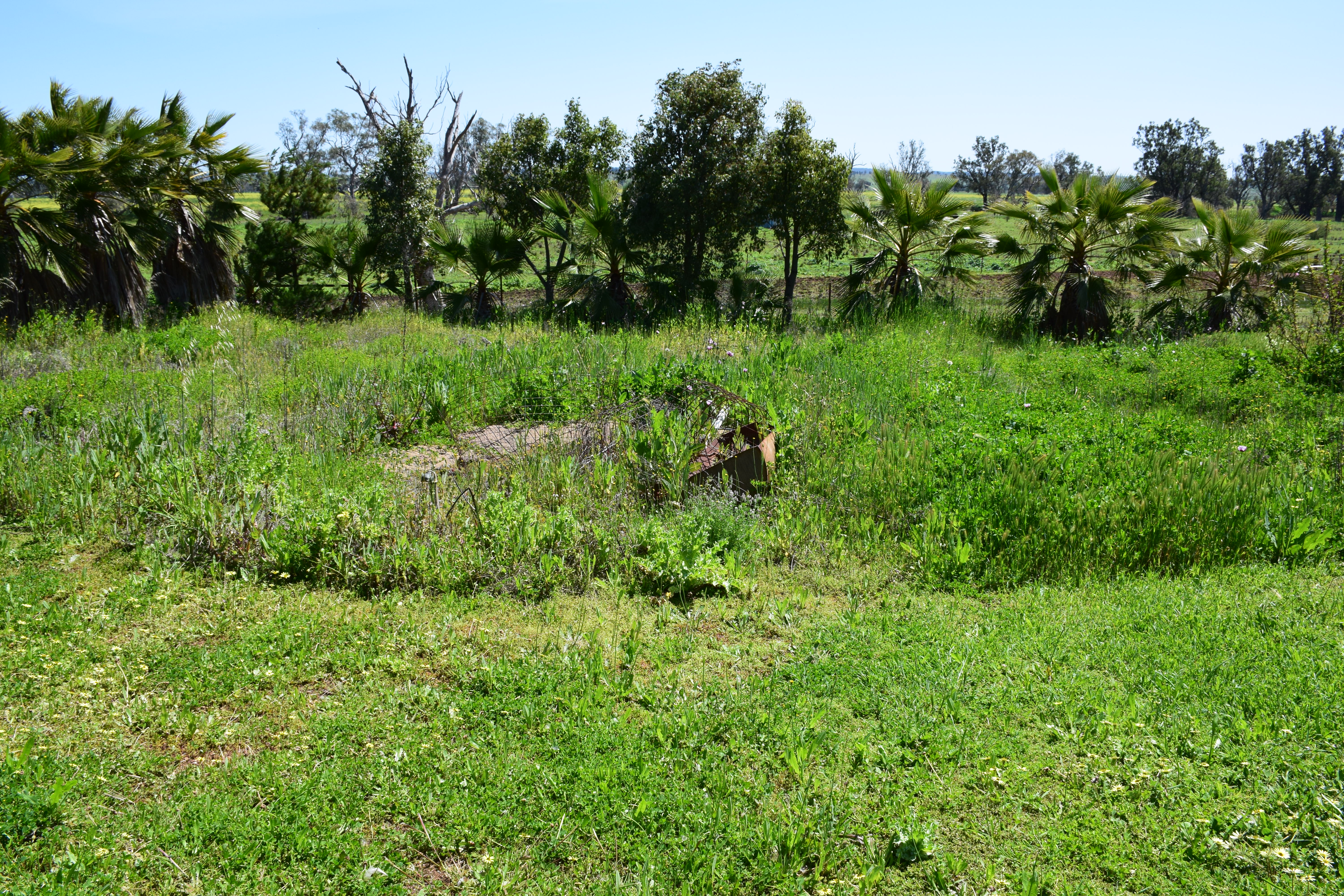 Rural Property Centre Country Cottage 27 Nott Street Dunedoo