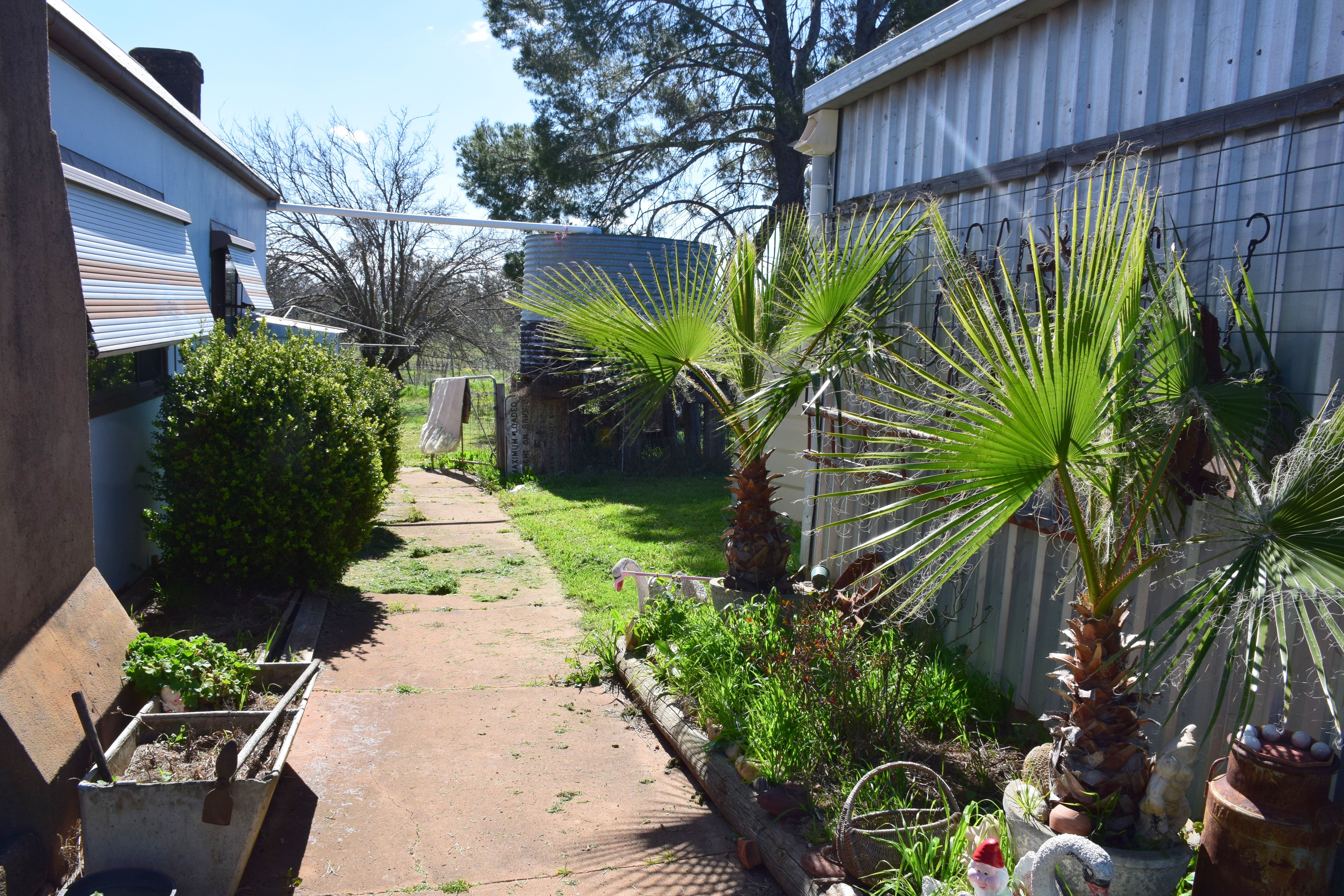 Rural Property Centre Country Cottage 27 Nott Street Dunedoo