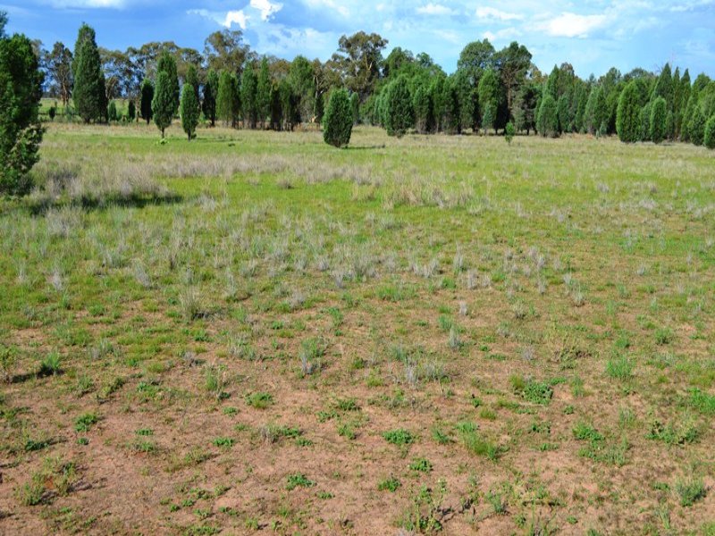 Rural Property Centre "Abandoned Farm" "Royston", 314Ha (775Ac) Gilgandra