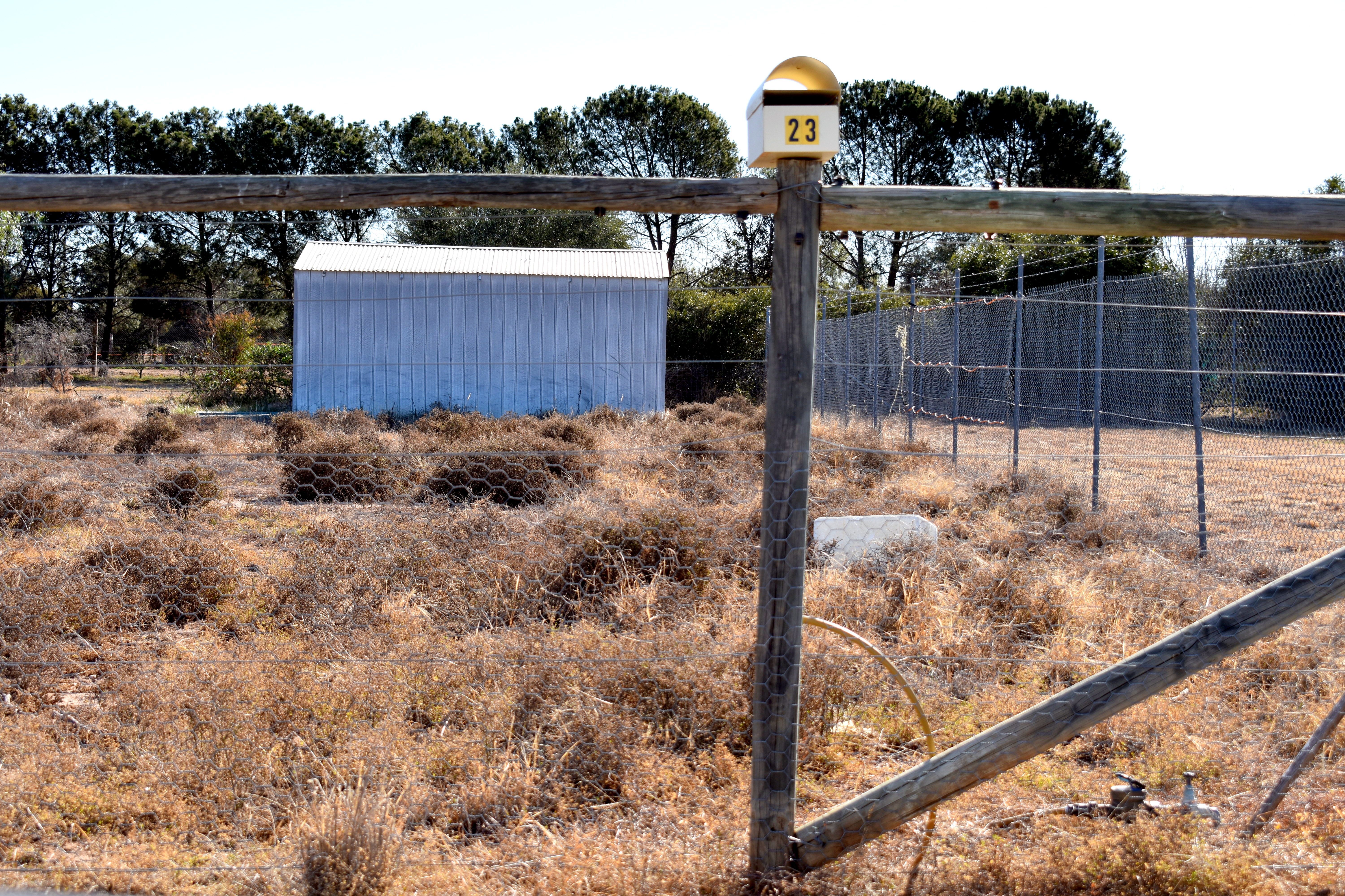 Rural Property Centre Lock up Shed on 1,770 SQM Block
