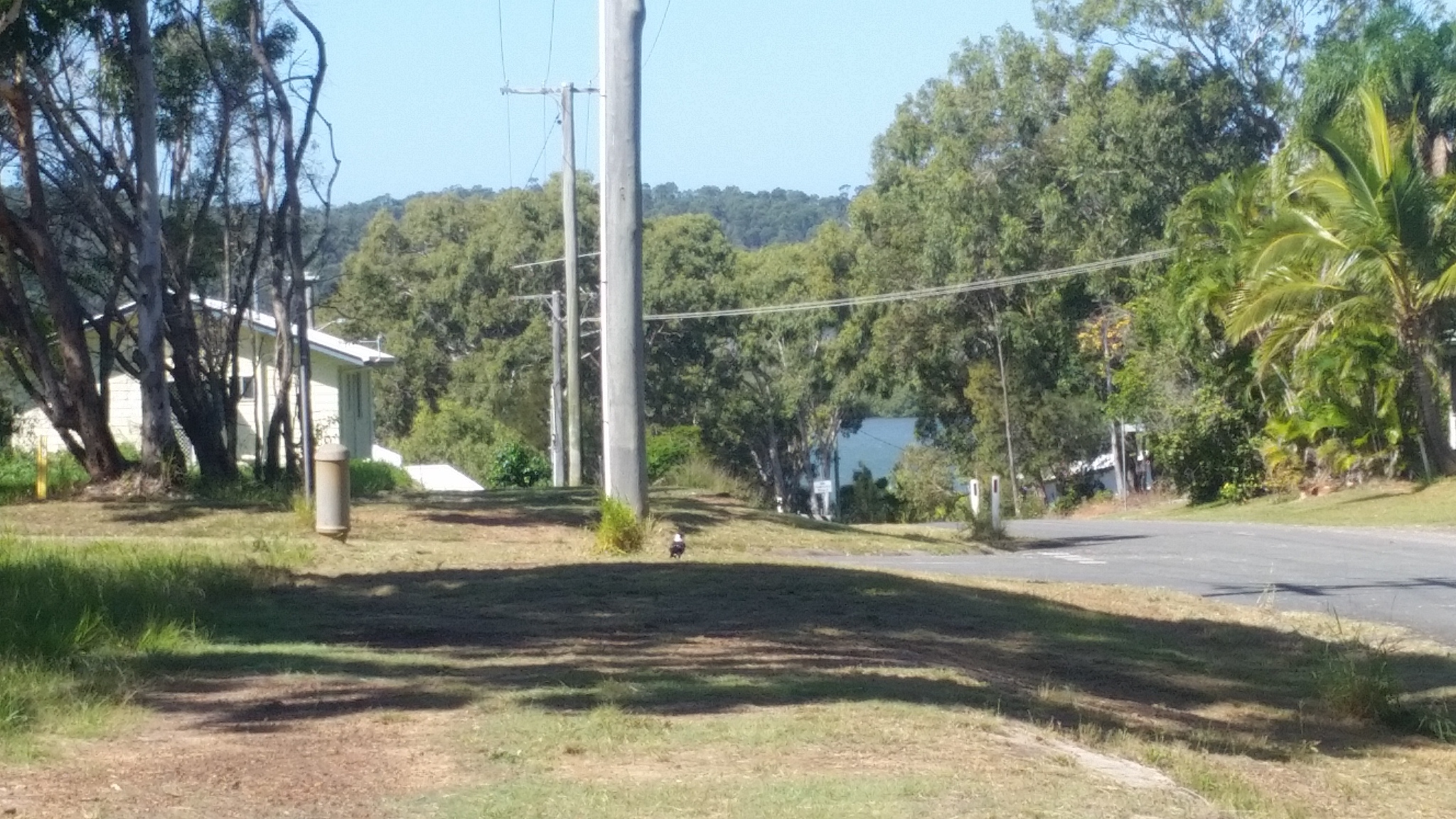 Russell Island Real Estate WATERVIEW GLIMPSES