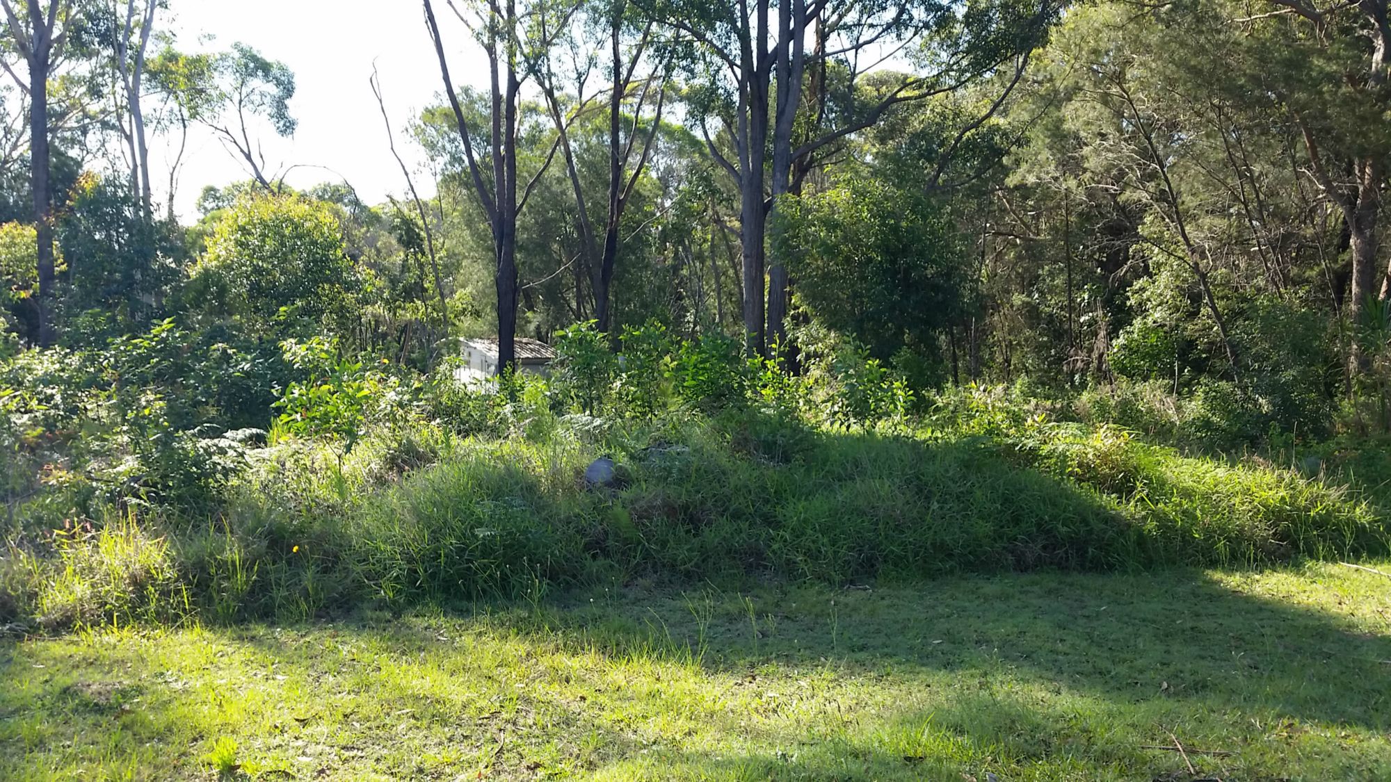 Russell Island Real Estate High with Potential Western Water Views