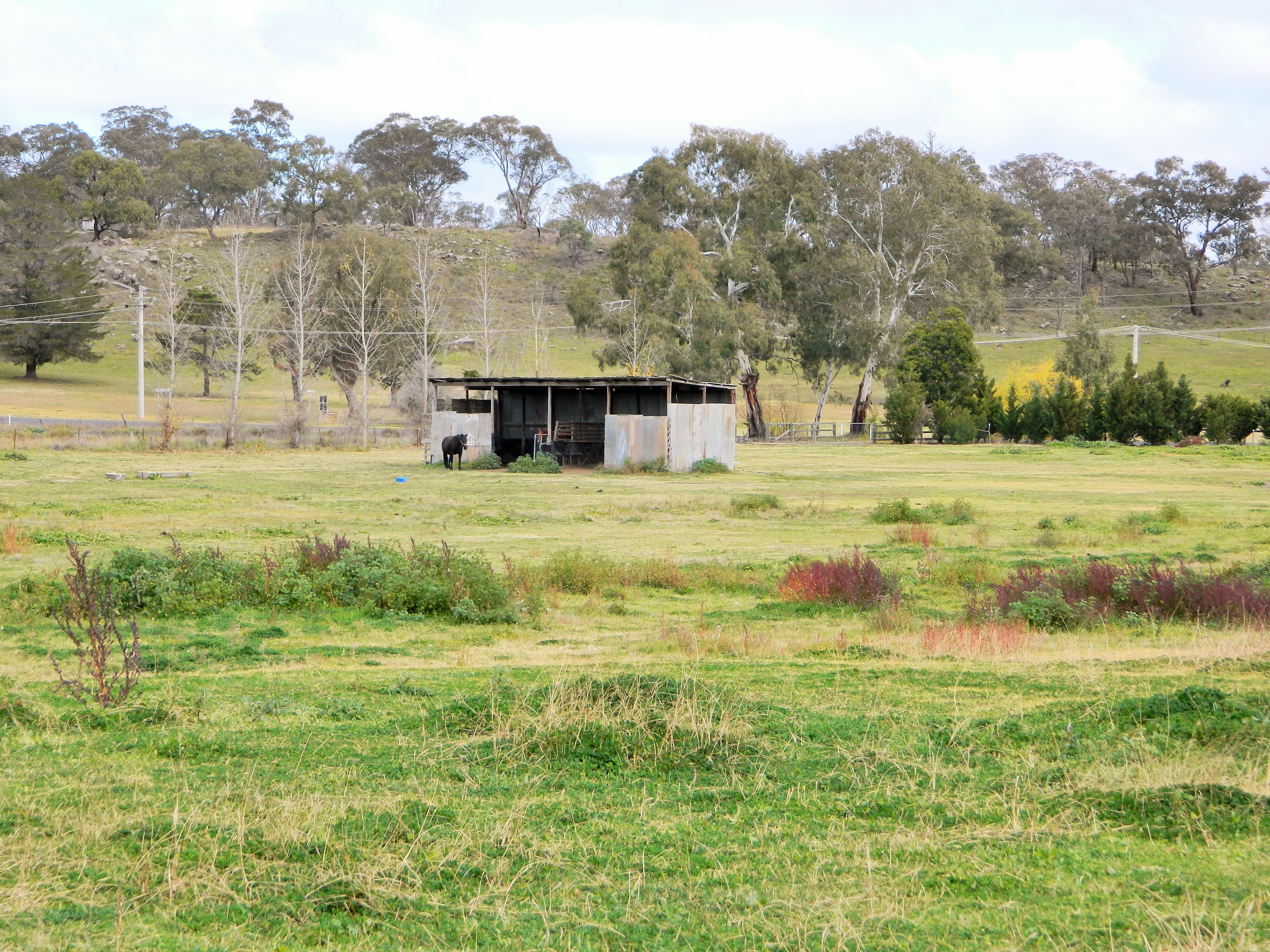 Shipman's Real Estate 8.5 acres of Opportunity