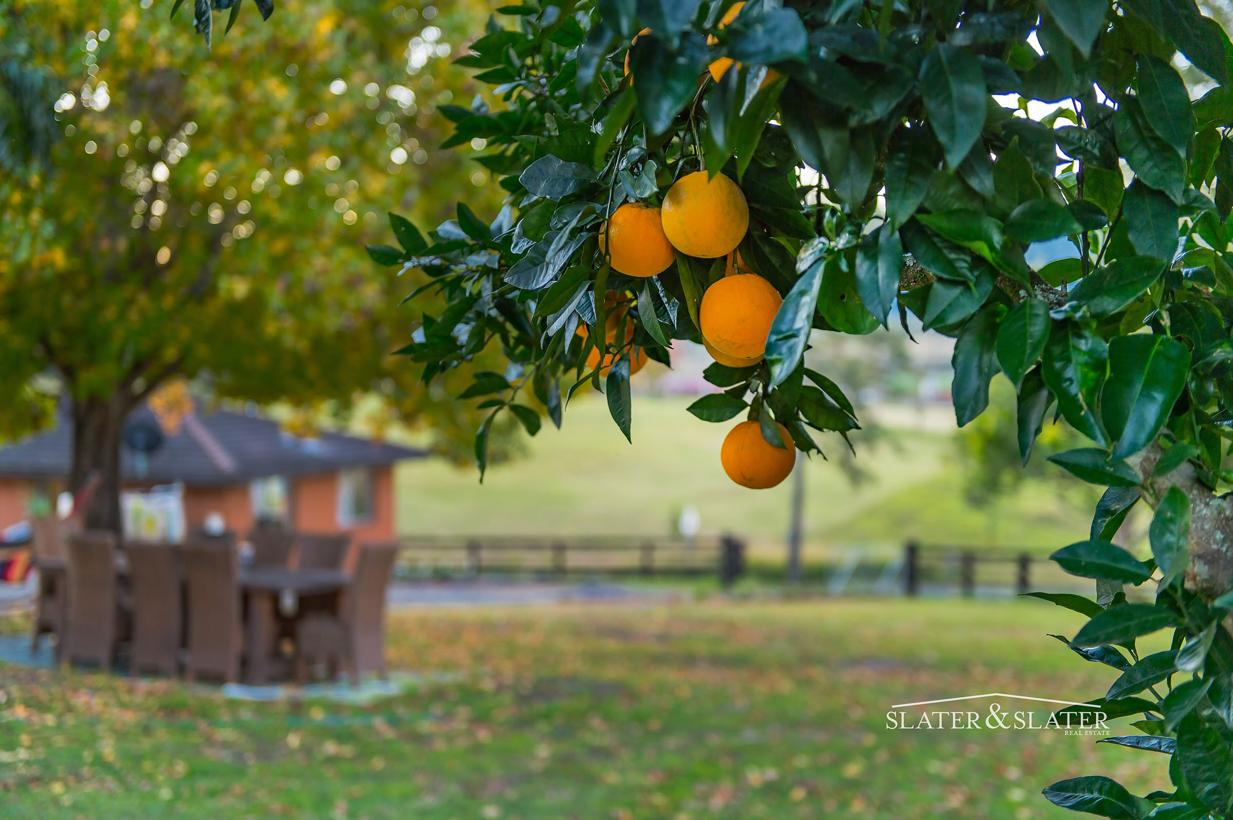 Slater & Slater Real Estate Rural lifestyle offering incredible views