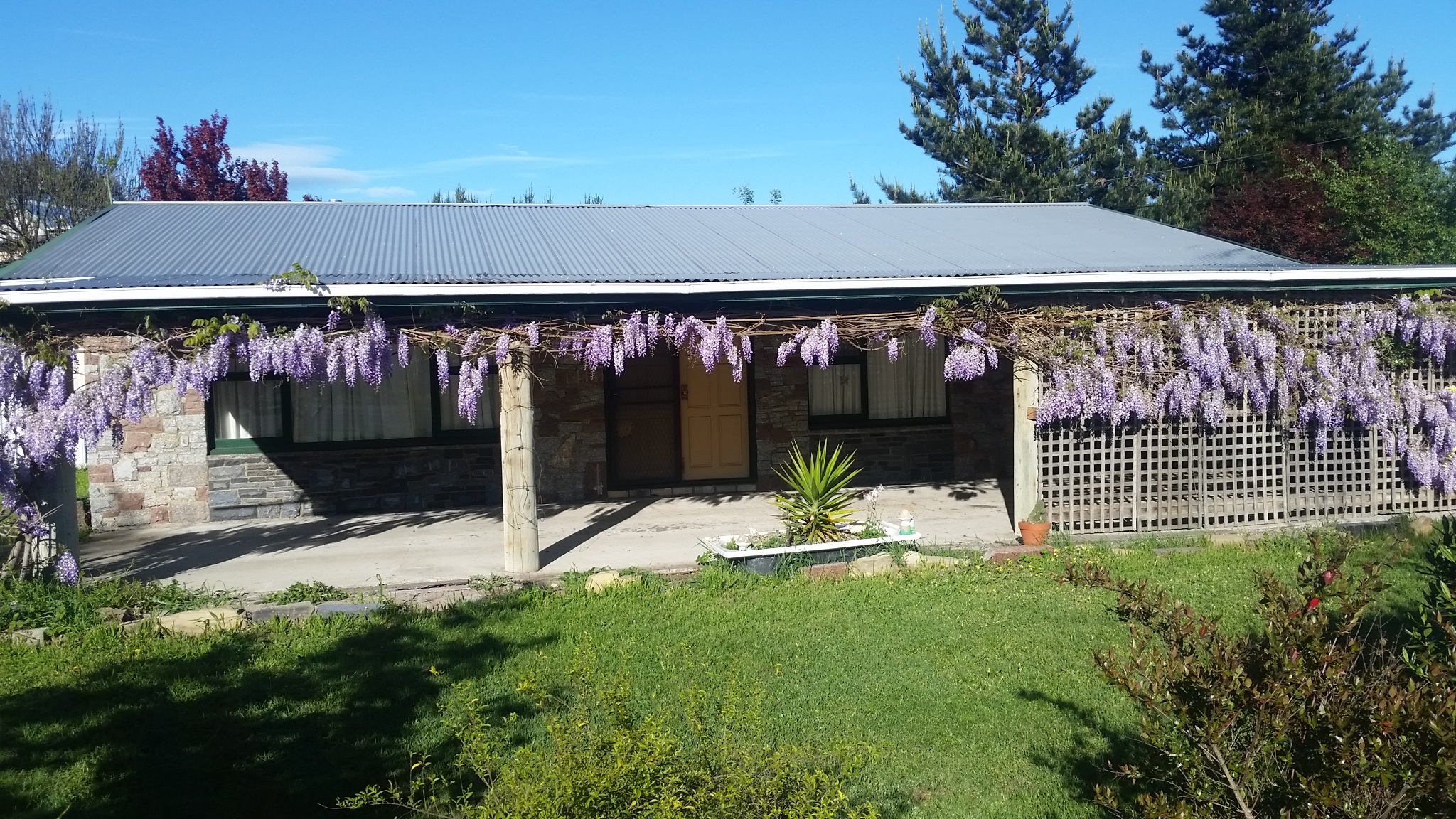 Businesses for saleBusinesses for sale in TasmaniaBest Business