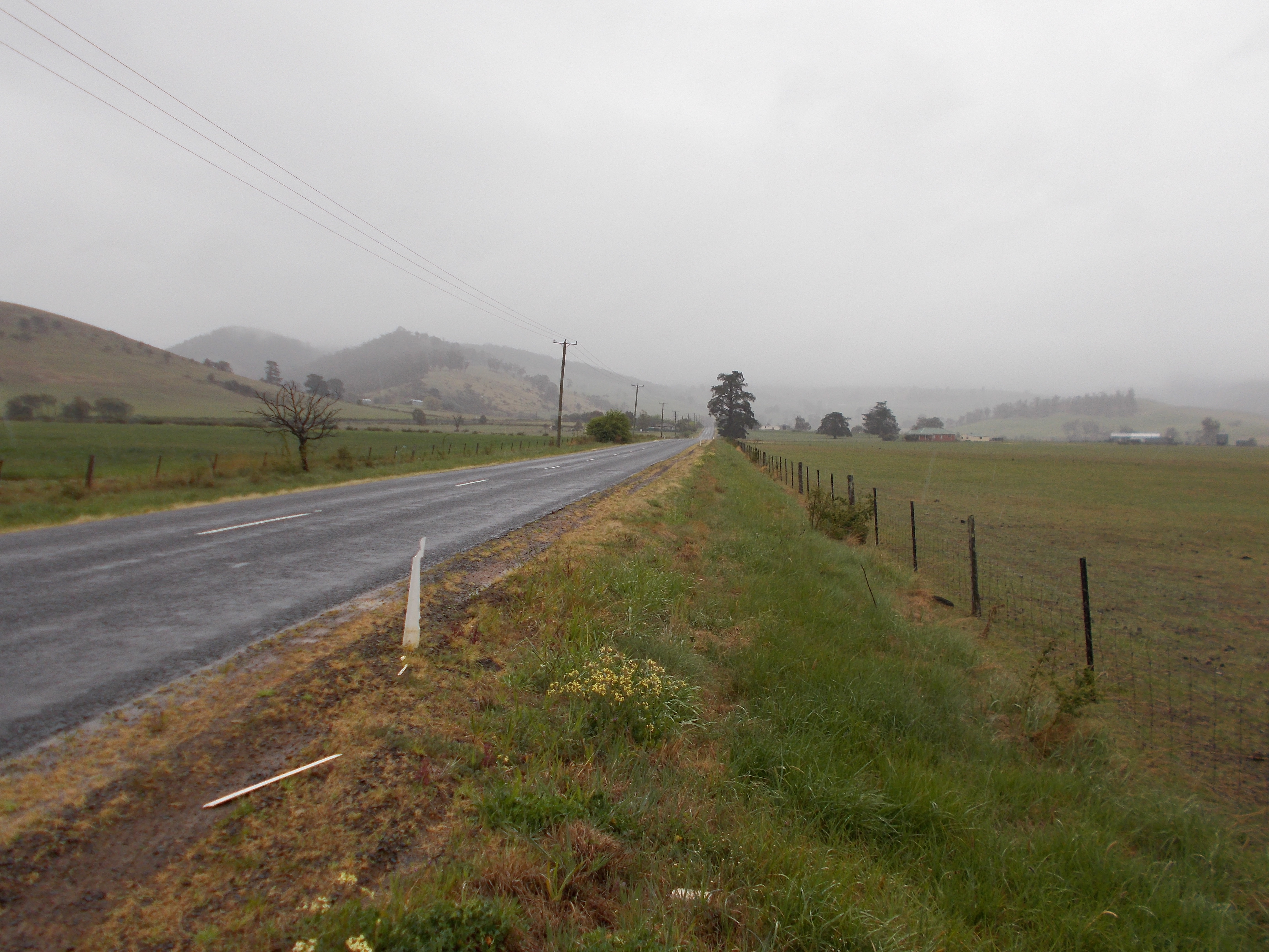 Businesses for saleBusinesses for sale in TasmaniaBest Business