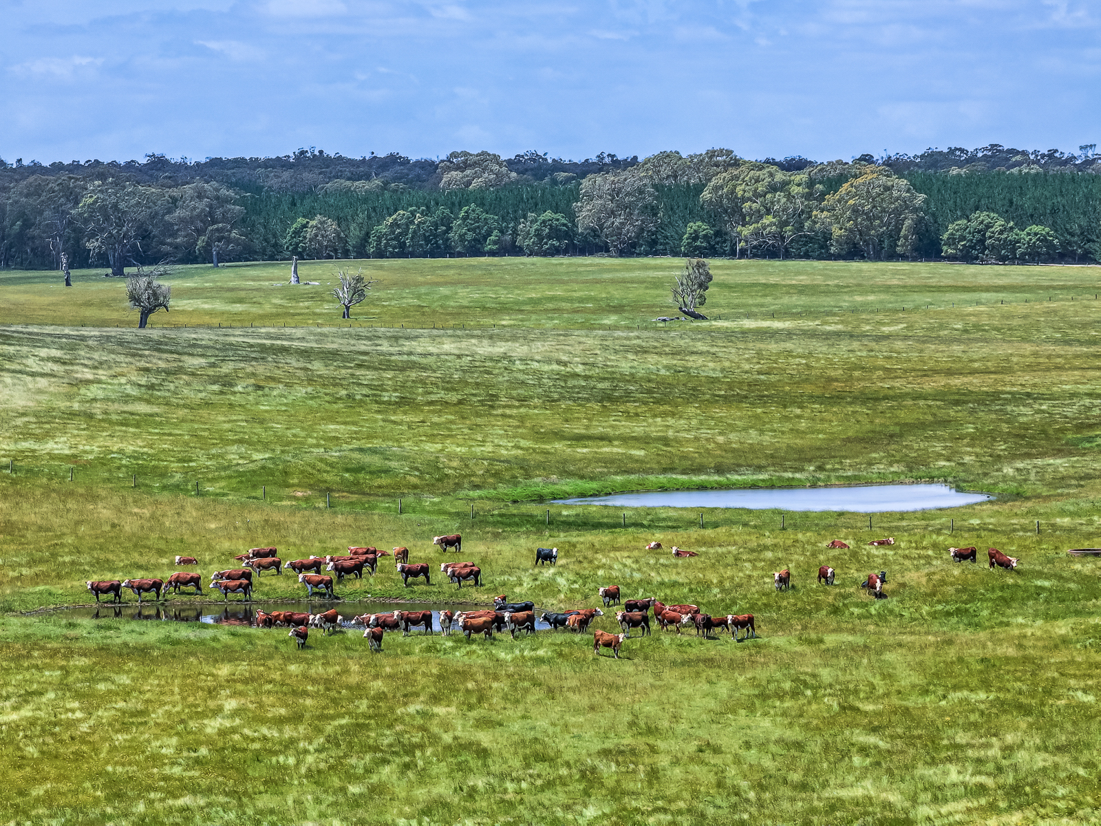 1090 Six Chain Road, Killara VIC 3312