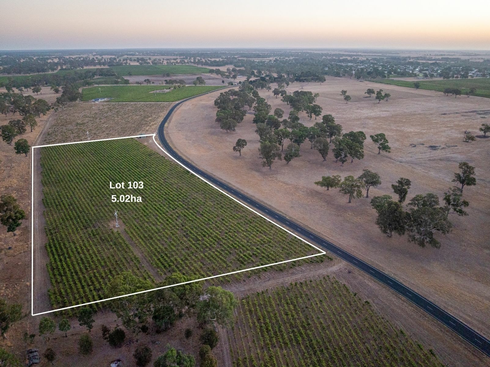 Lot 103 Dergholm Road, Penola SA 5277