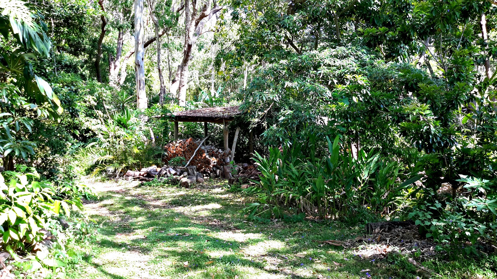 Top of the Tablelands Realty Rural Property feeling in the middle of