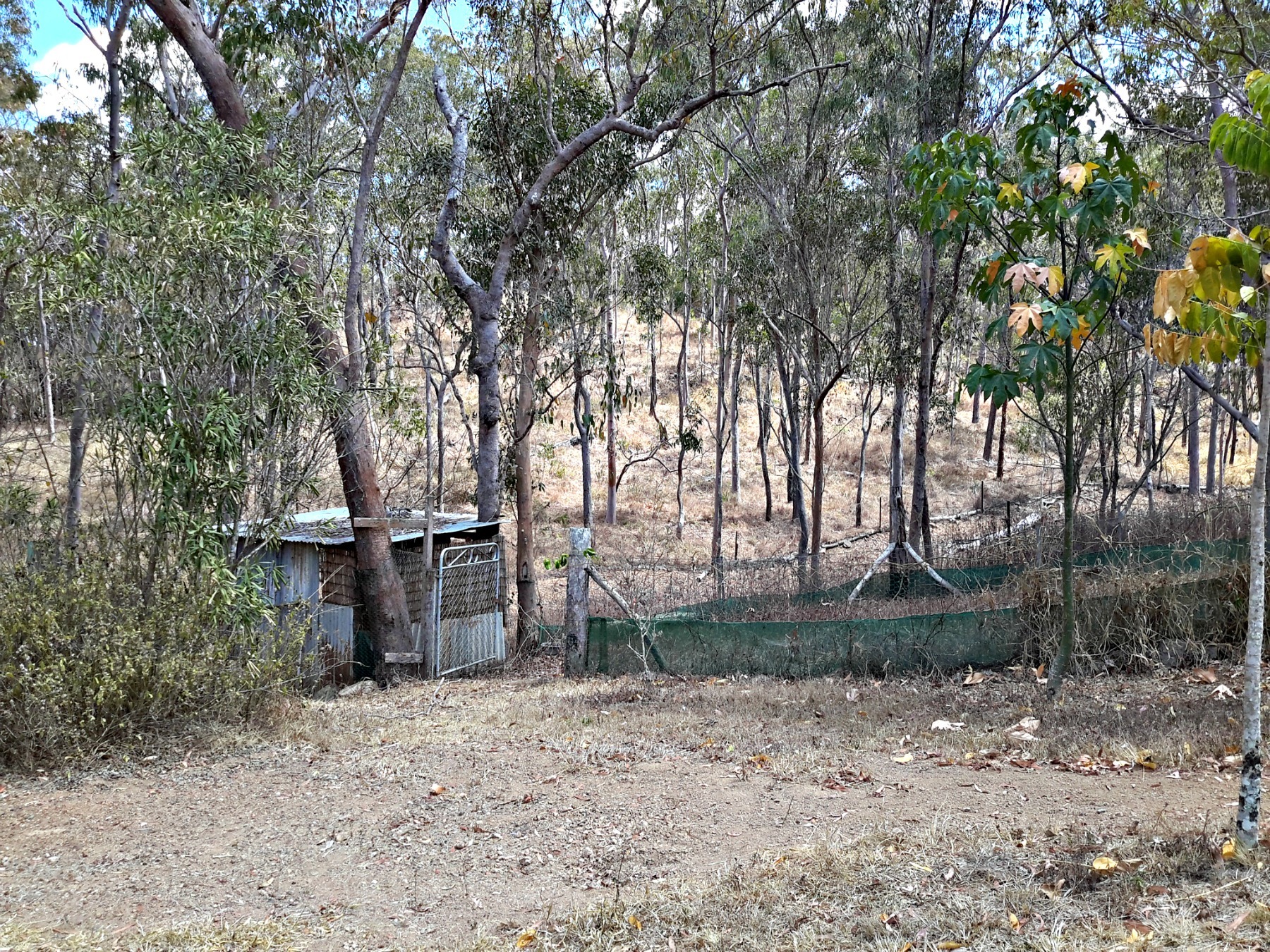 Top of the Tablelands Realty Vine Creek FrontageLarge Home