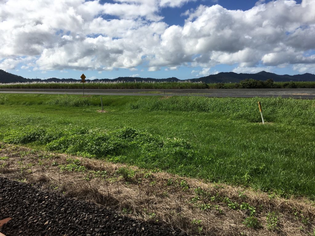 Tully Realty Midgenoo Cane Farm