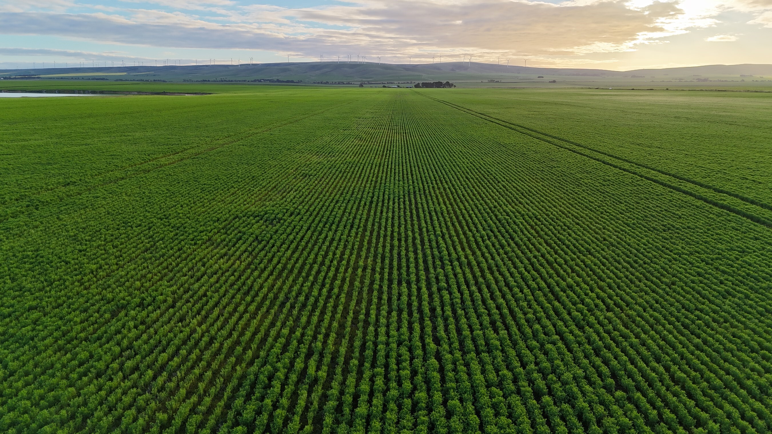 'Illamatta' 946 Barunga East Road, Burnsfield For Sale by Farmbuy.com - image 11