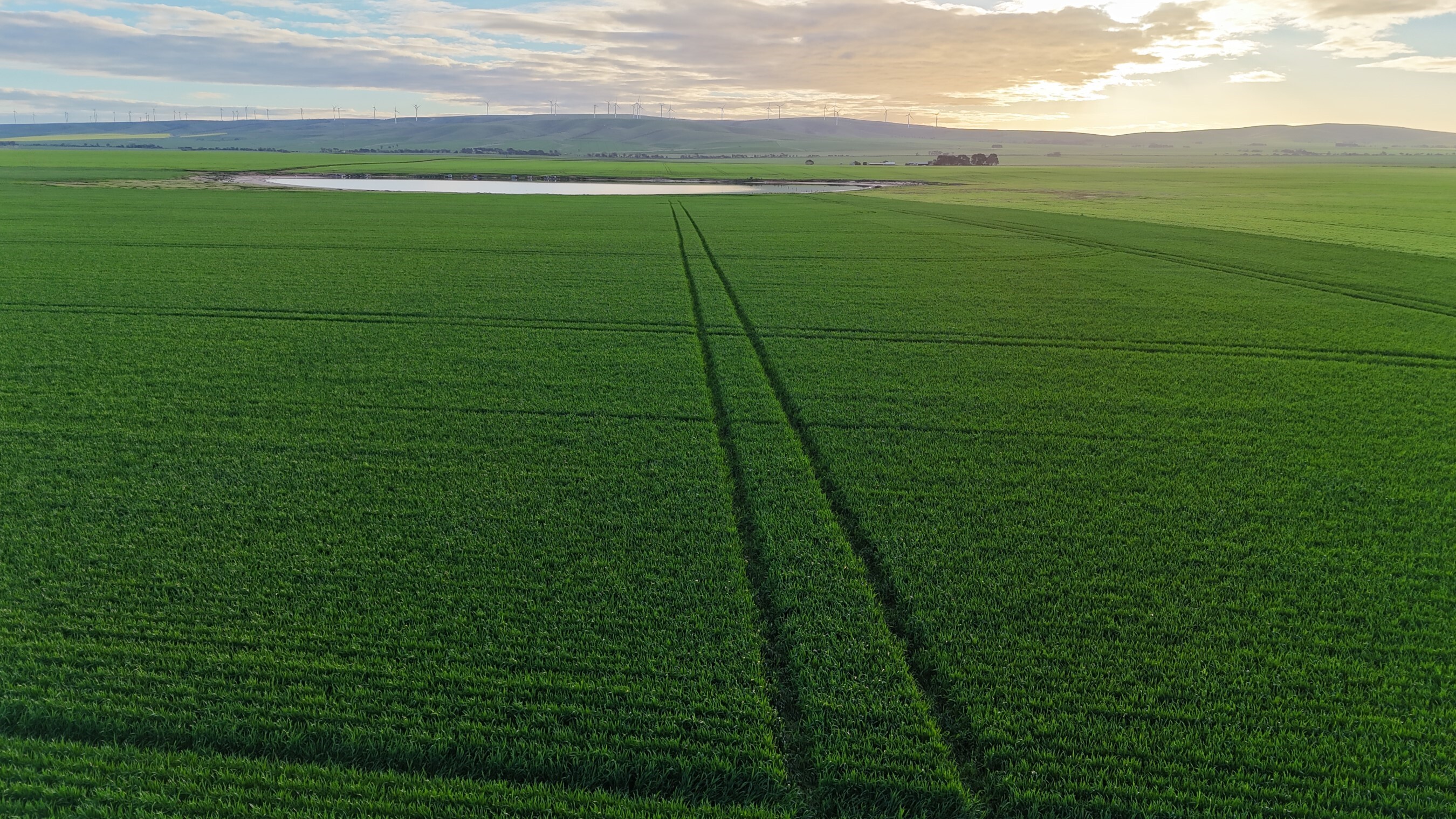 'Illamatta' 946 Barunga East Road, Burnsfield For Sale by Farmbuy.com - image 14