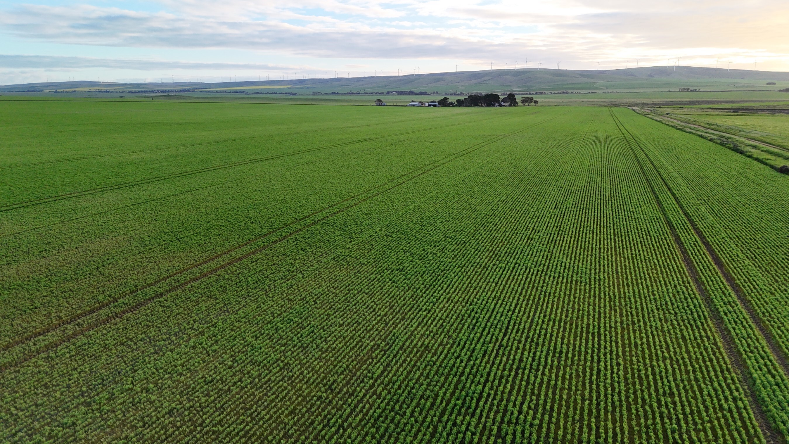 'Illamatta' 946 Barunga East Road, Burnsfield For Sale by Farmbuy.com - image 16