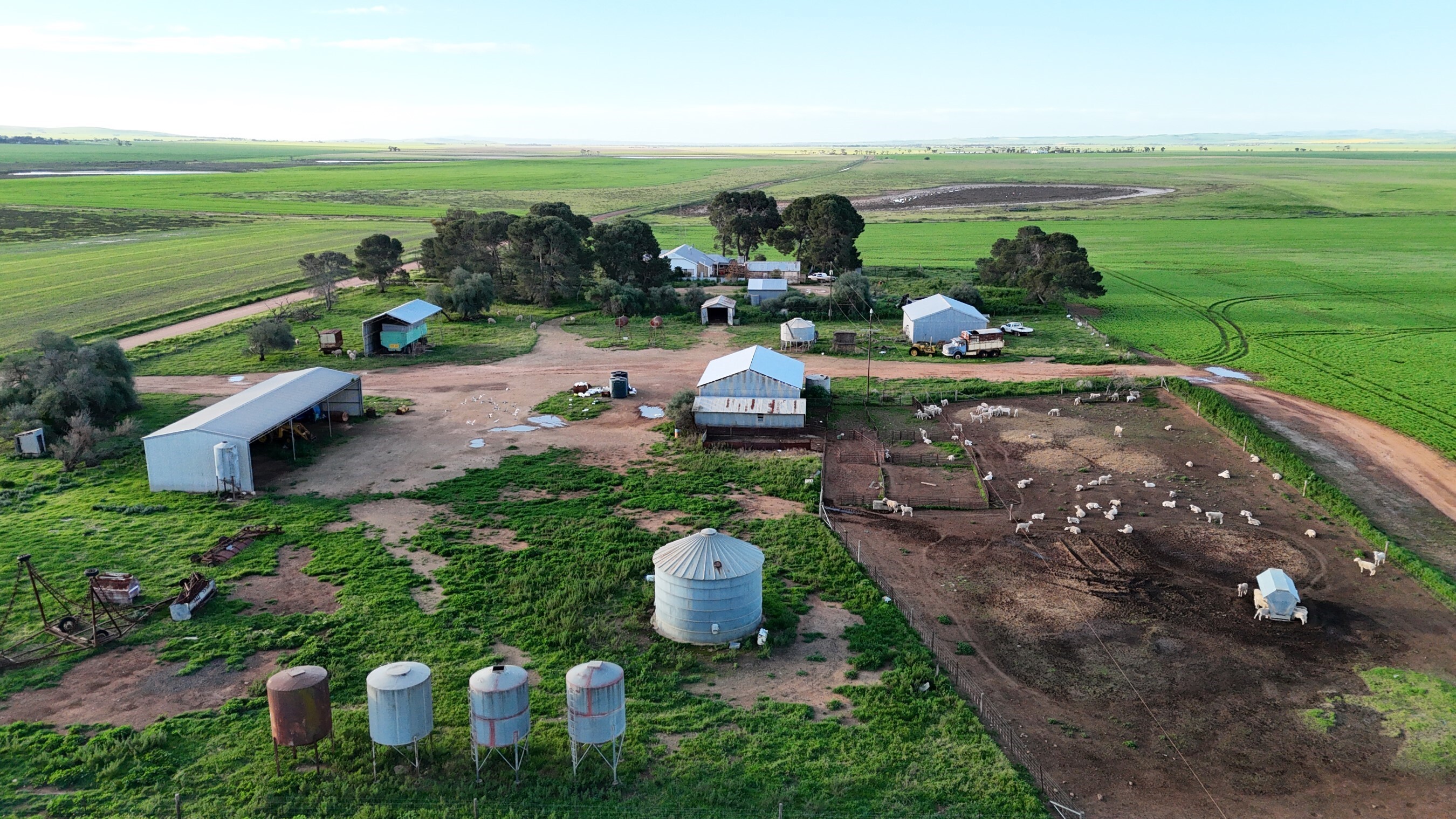 'Illamatta' 946 Barunga East Road, Burnsfield For Sale by Farmbuy.com - image 3