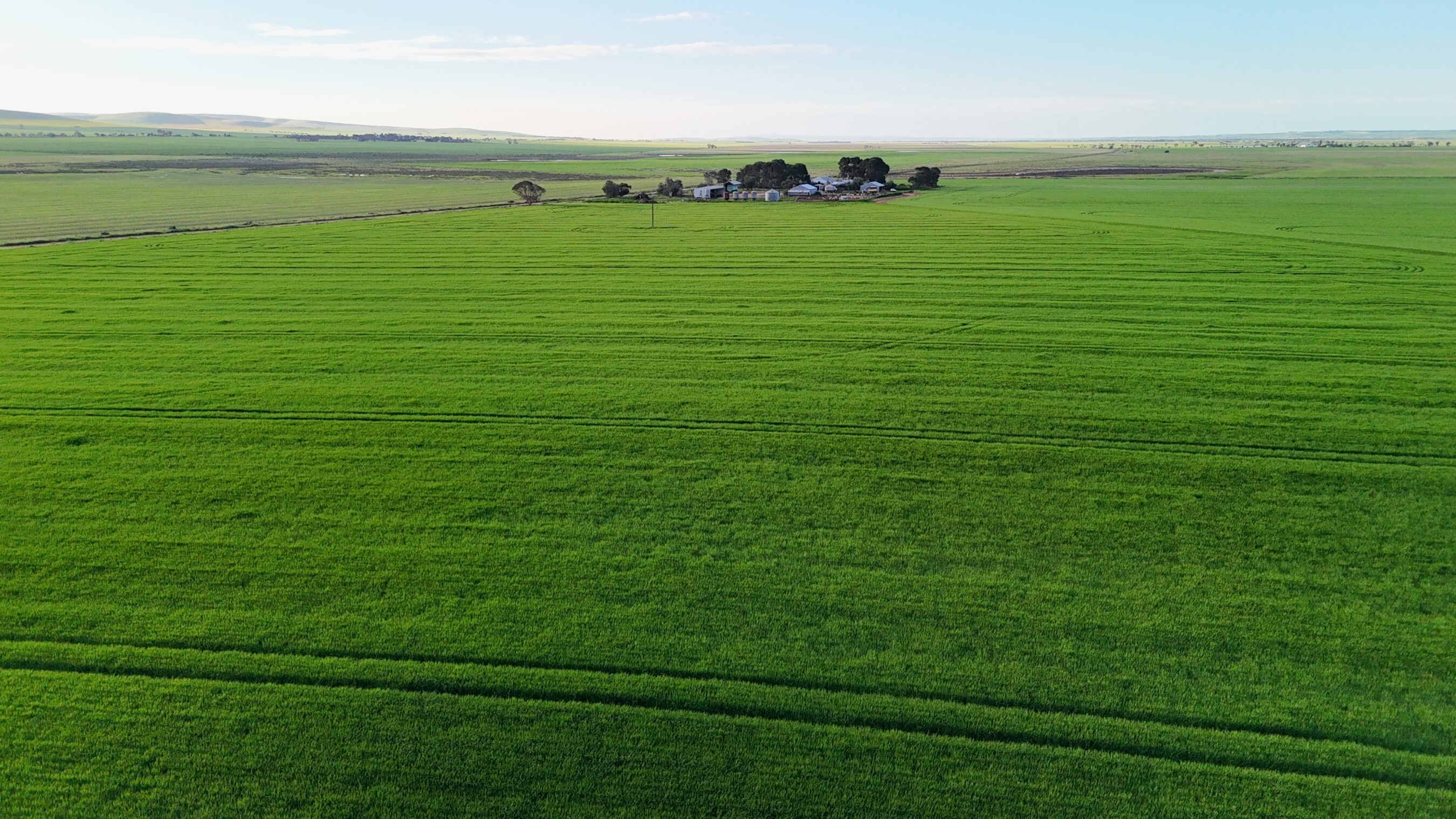 'Illamatta' 946 Barunga East Road, Burnsfield For Sale by Farmbuy.com - image 6