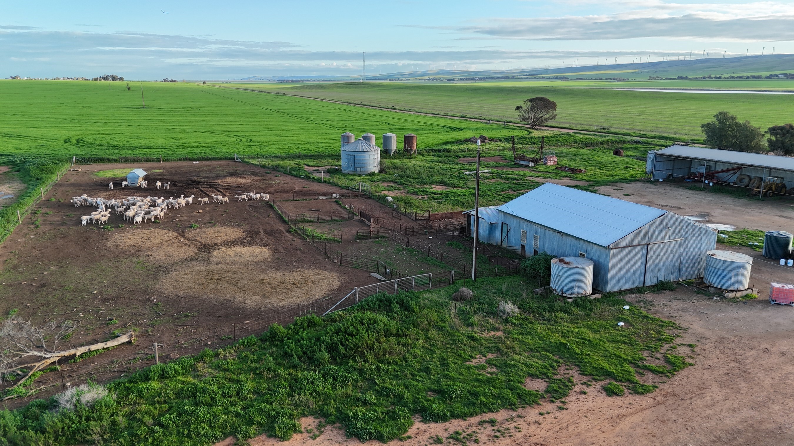 'Illamatta' 946 Barunga East Road, Burnsfield For Sale by Farmbuy.com - image 7