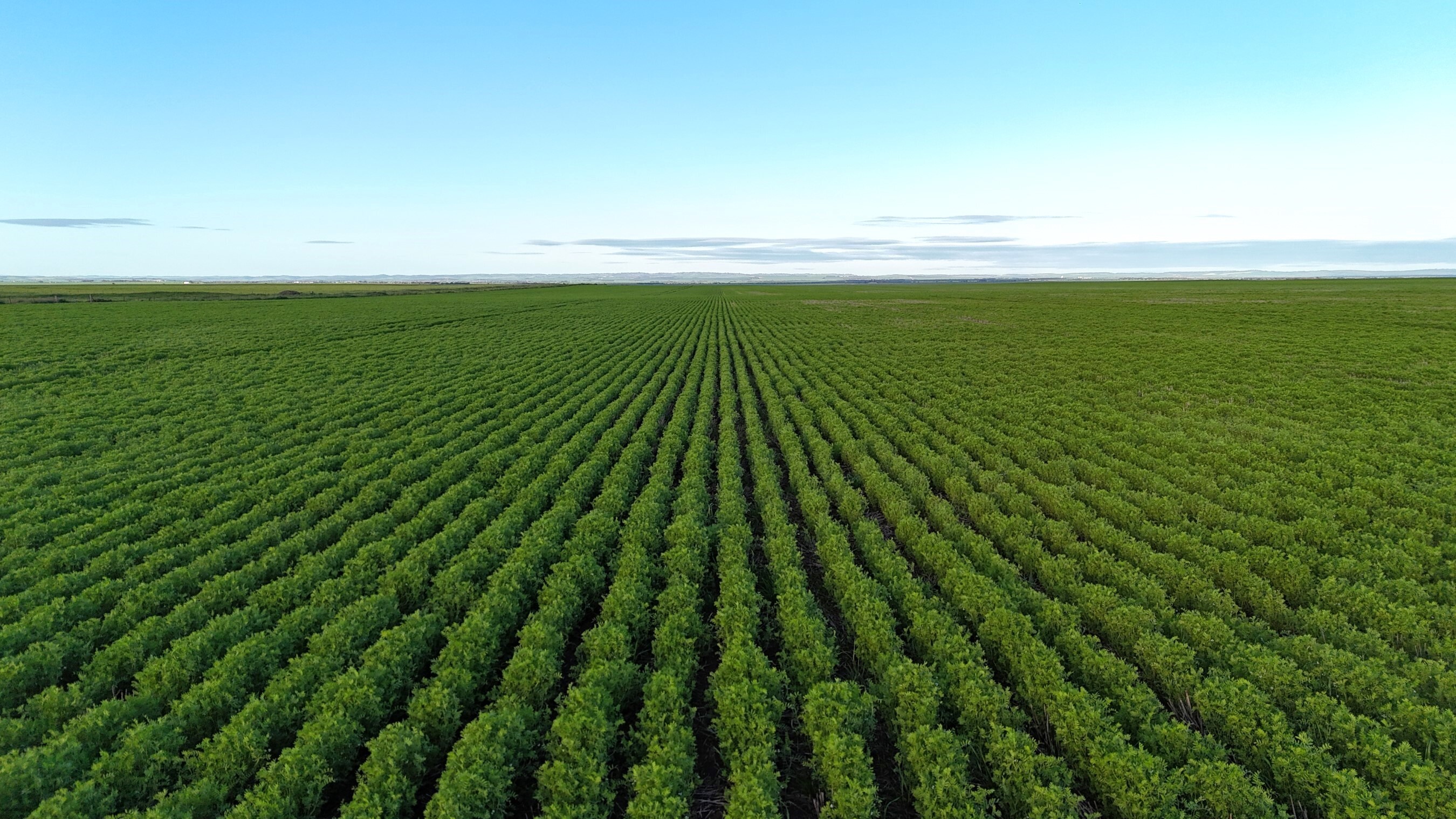 'Illamatta' 946 Barunga East Road, Burnsfield For Sale by Farmbuy.com - image 10
