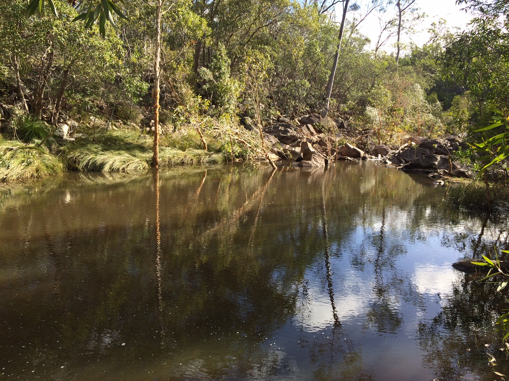143 Hutchins Road, Kullogum For Sale by Farmbuy.com - image 30