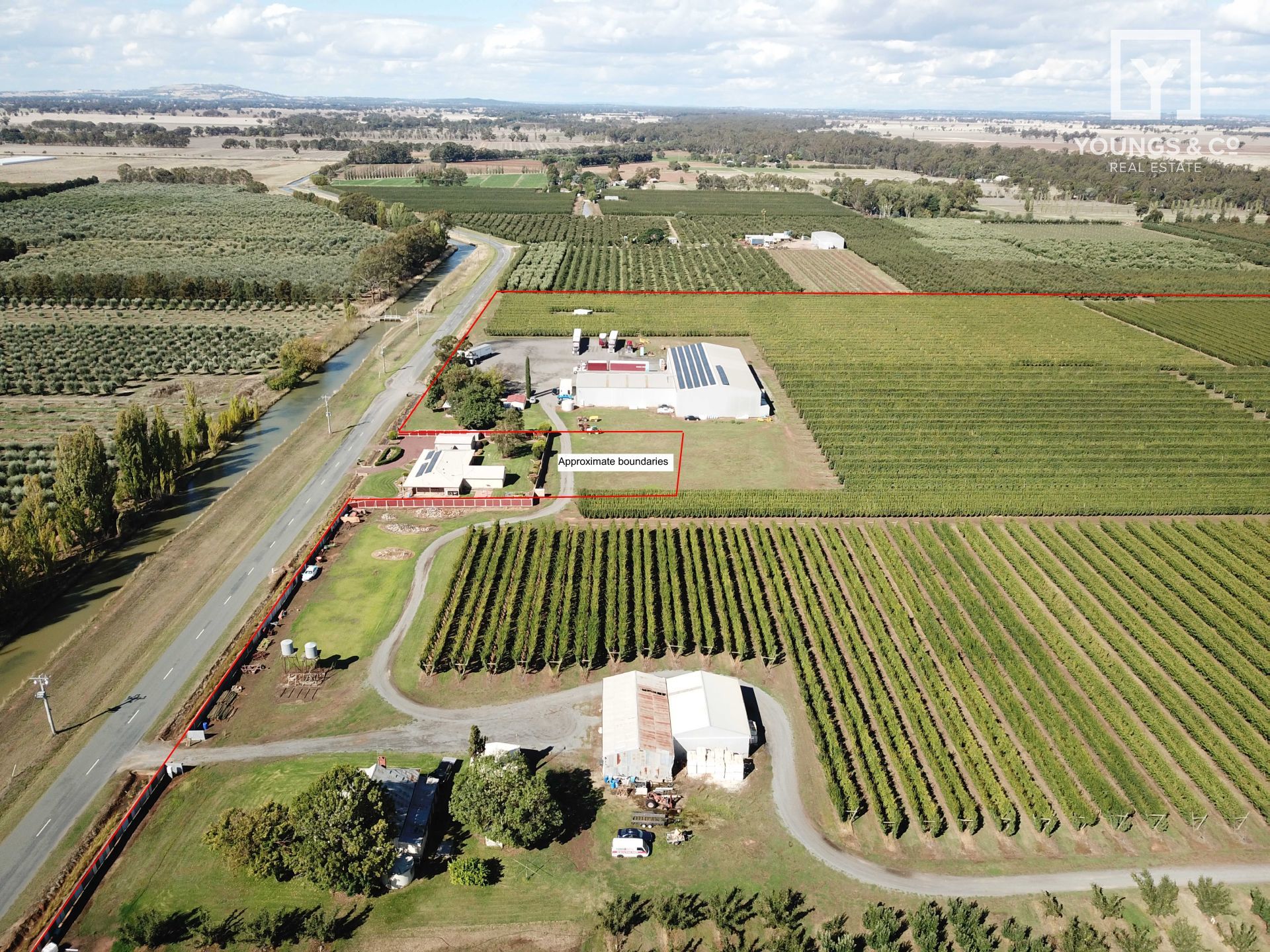 Youngs & Co Quality Shepparton District Orchard 55 Hectares