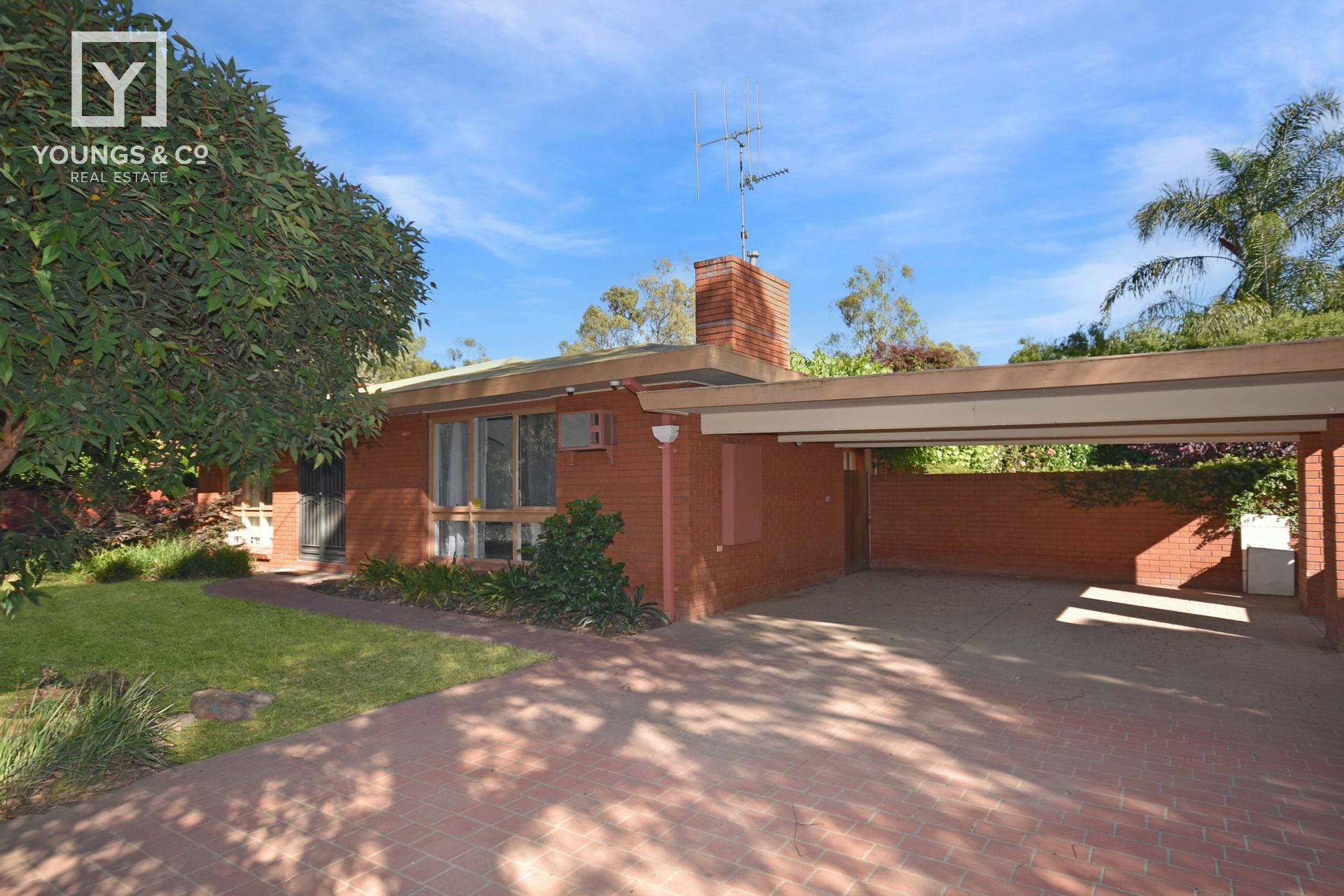 Youngs & Co NORTH CENTRAL SHEPPARTON